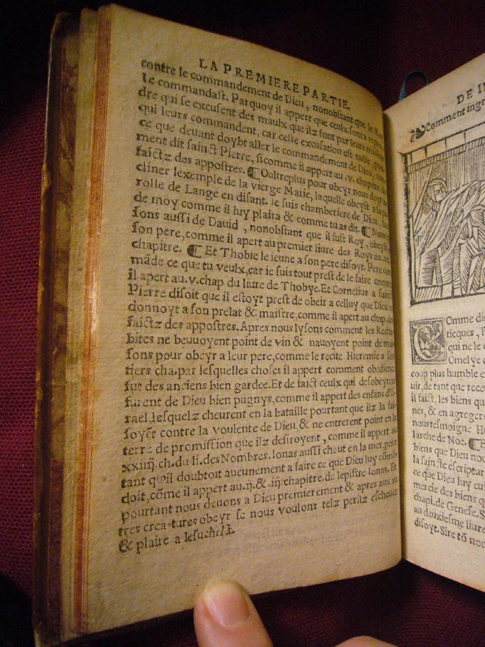 1539 - Alain Lotrian - Trésor de sapience et fleur de toute bonté - BnF
