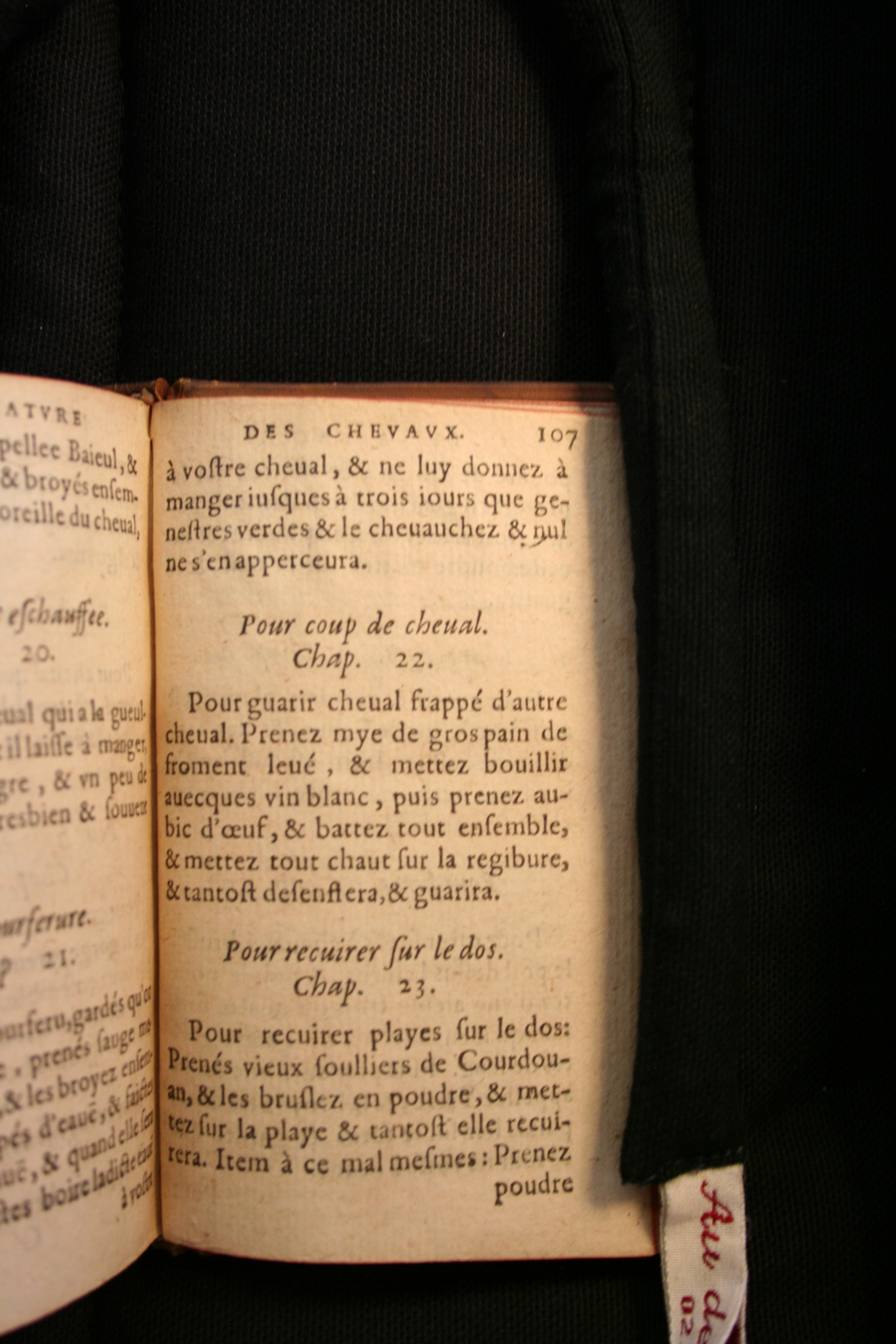 1591 - Pierre Chastaing et Benoît Rigaud - Trésor des bêtes chevalines - BM Bordeaux