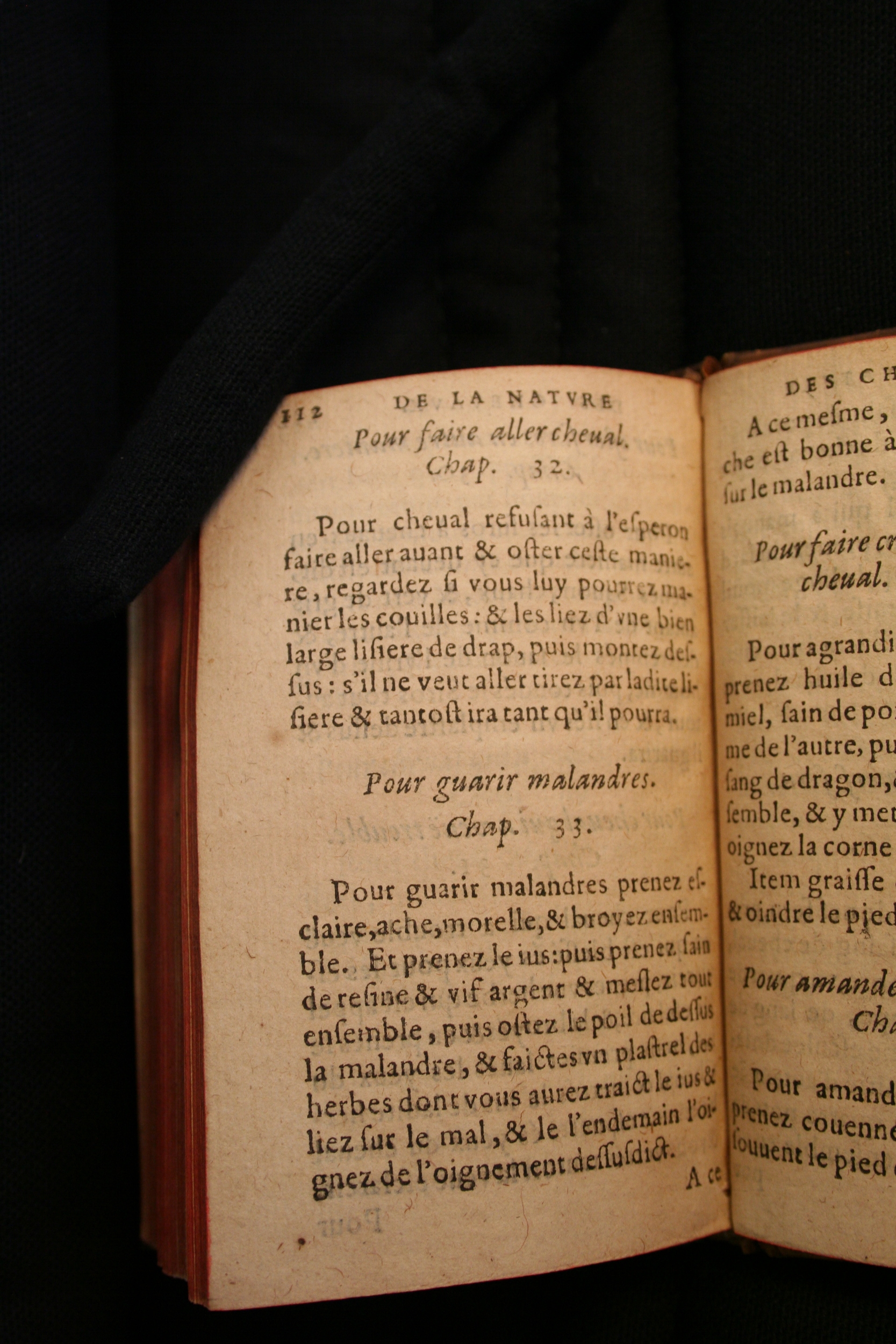 1591 - Pierre Chastaing et Benoît Rigaud - Trésor des bêtes chevalines - BM Bordeaux