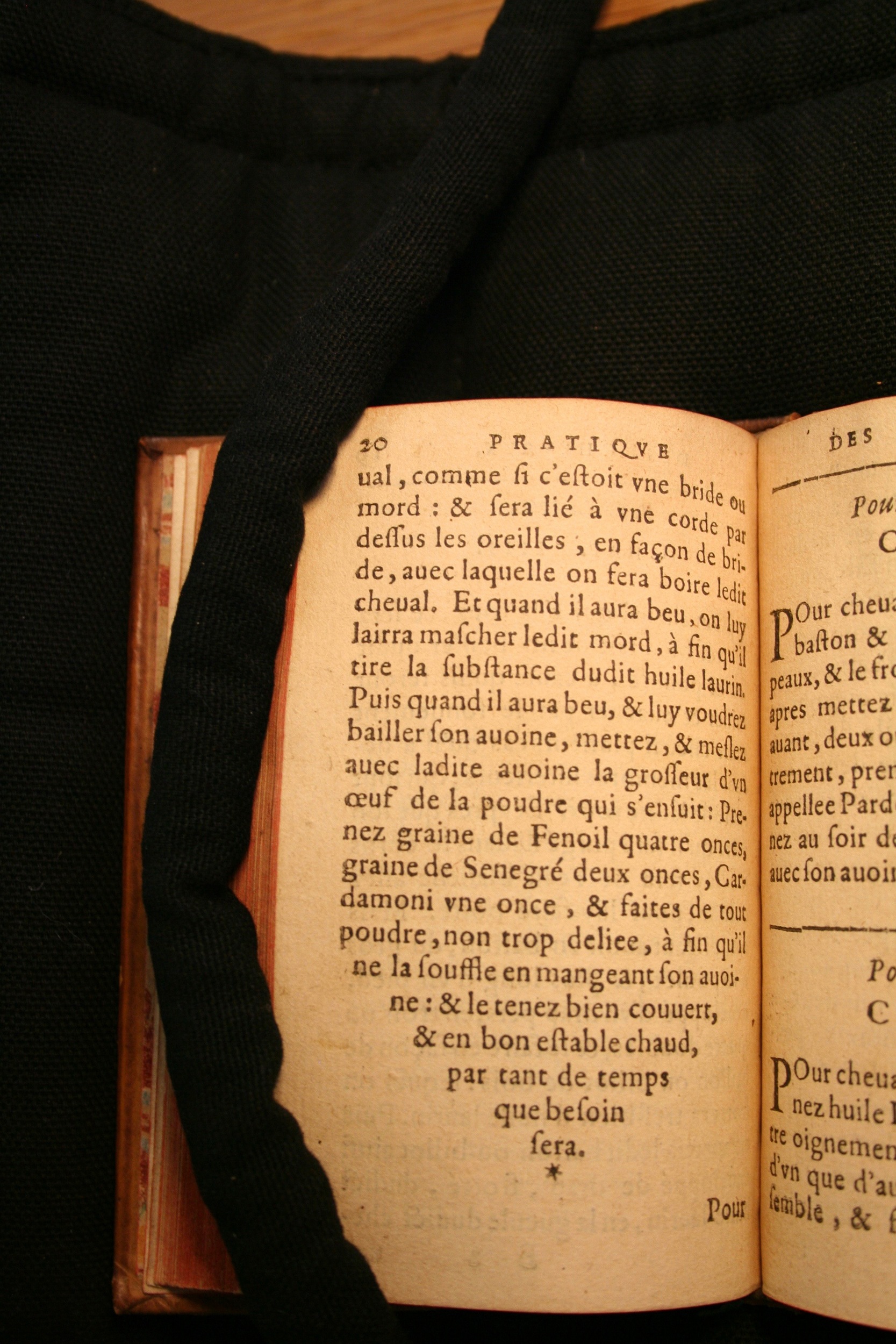 1591 - Pierre Chastaing et Benoît Rigaud - Trésor des bêtes chevalines - BM Bordeaux