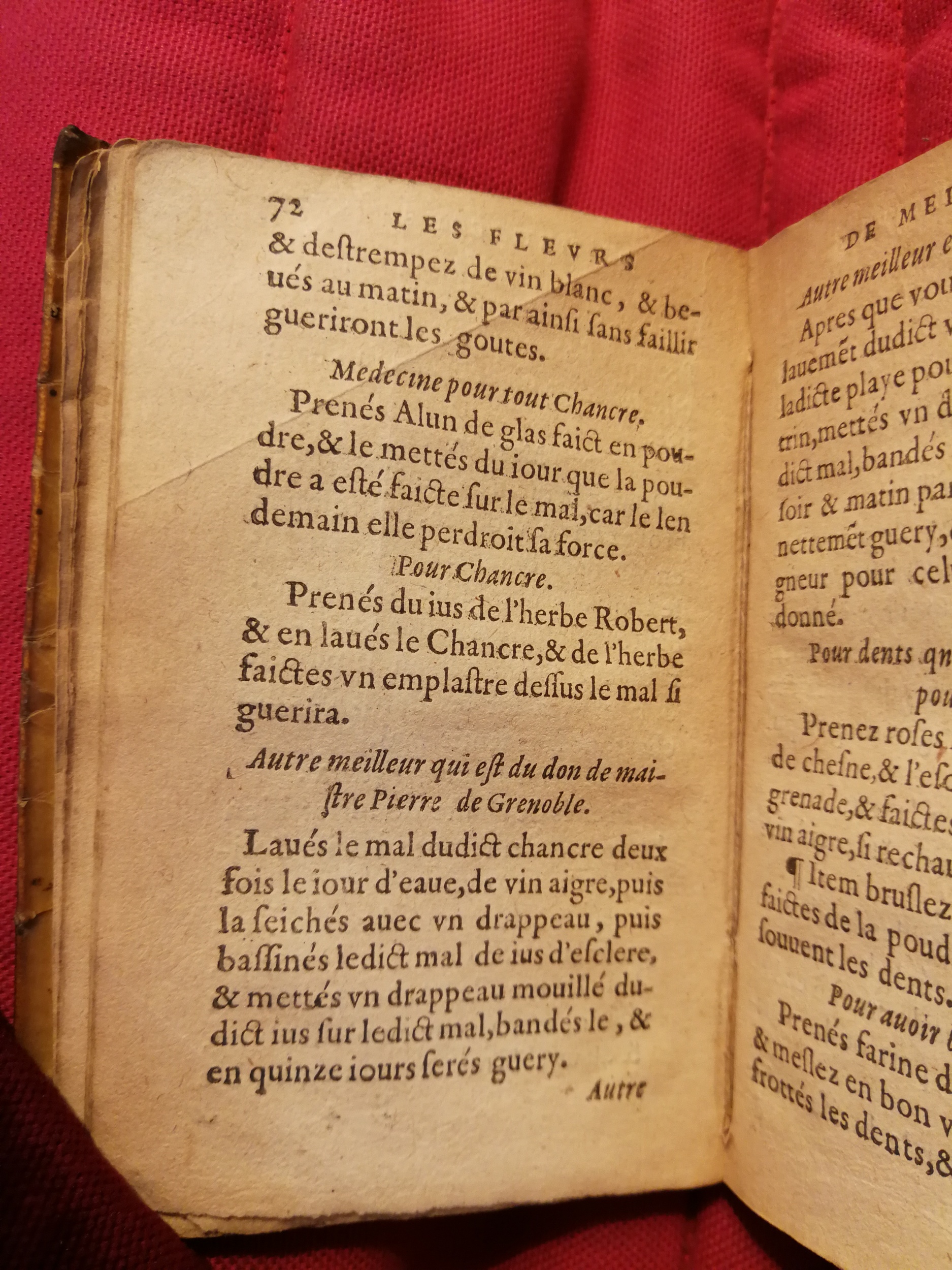 1586 - Benoît Rigaud - Trésor des fleurs et secrets de médecine - Sainte-Geneviève