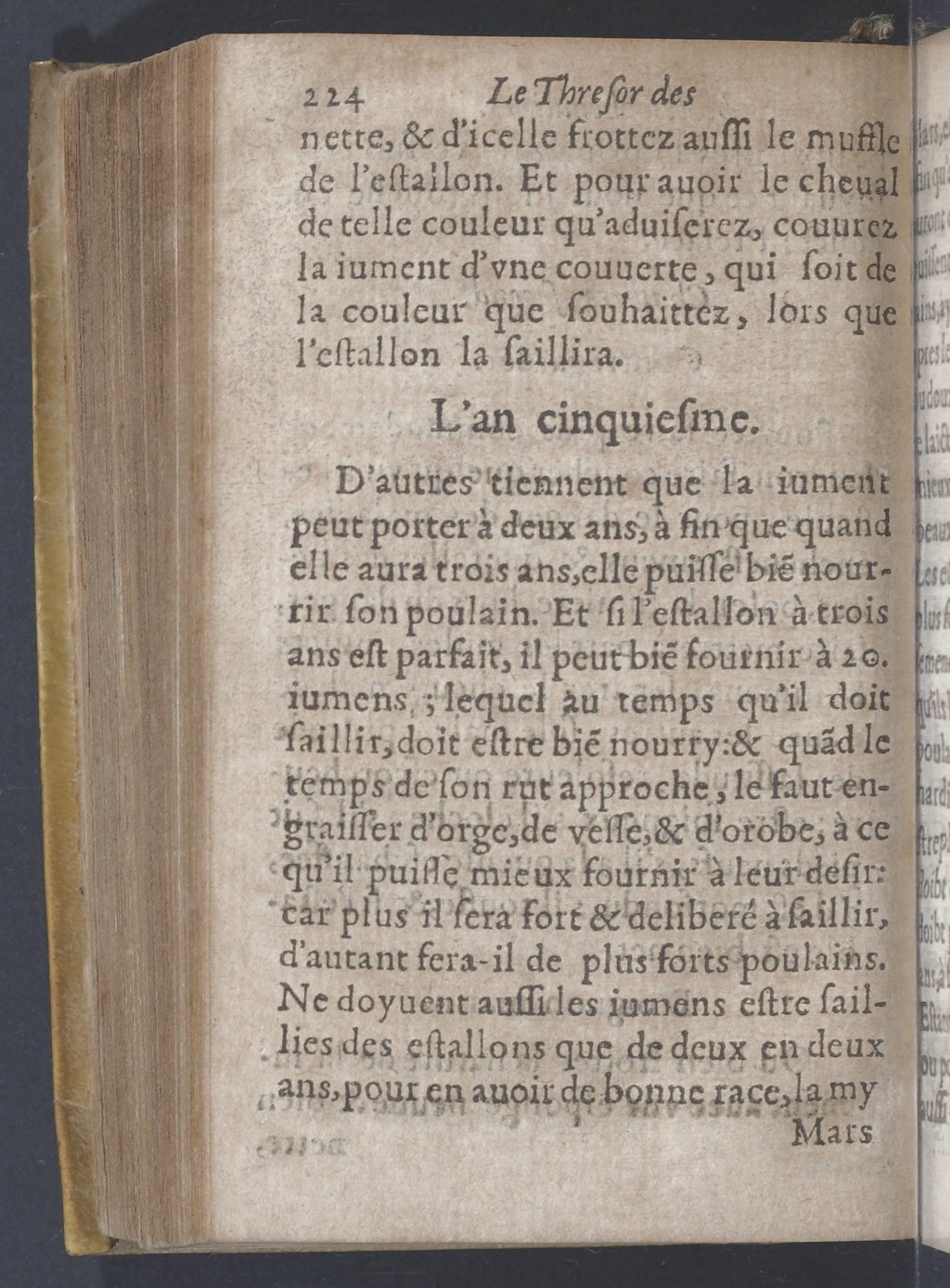 1619 - Pierre Rigaud - Trésor des bêtes chevalines - BnF 1619 - Pierre Rigaud - Trésor des bêtes chevalines - BnF