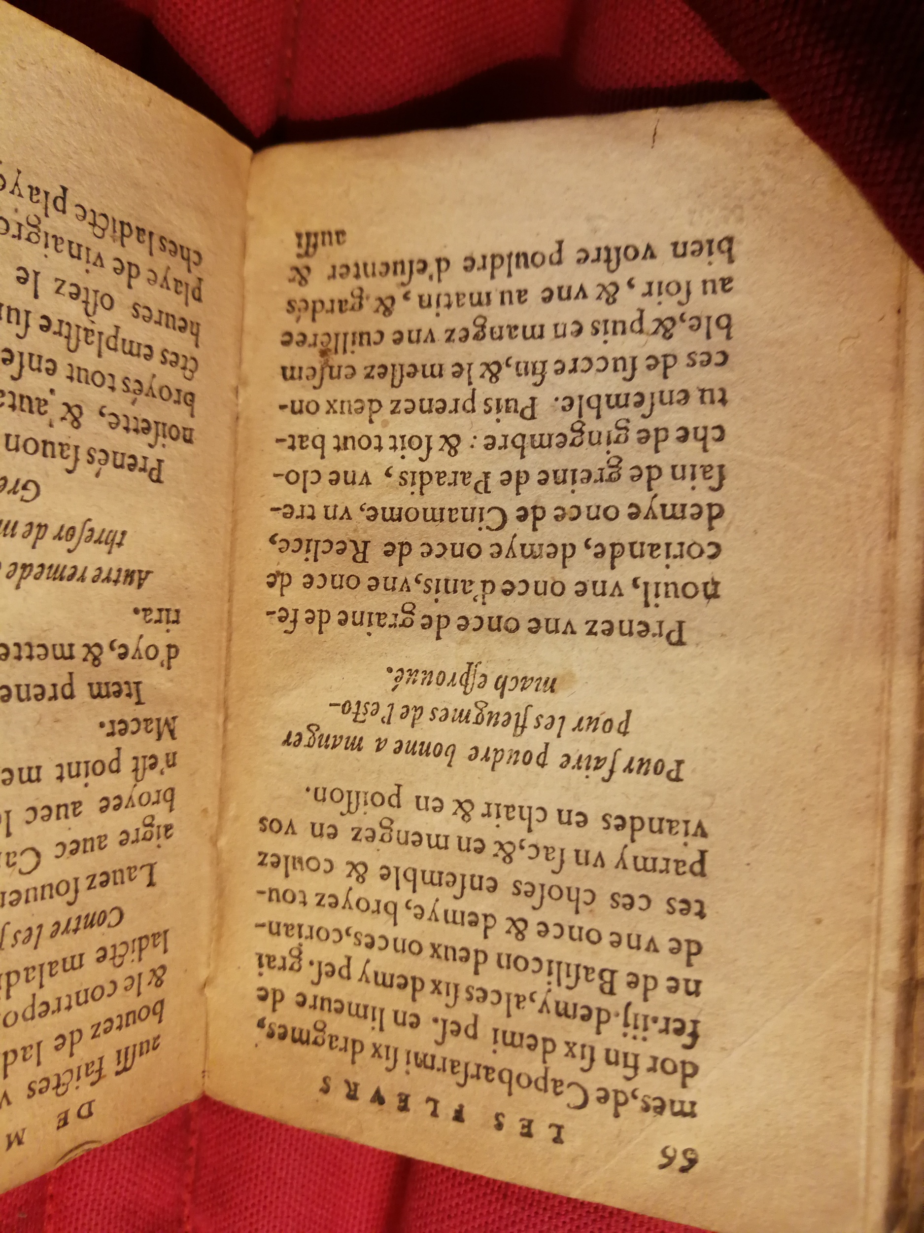 1586 - Benoît Rigaud - Trésor des fleurs et secrets de médecine - Sainte-Geneviève