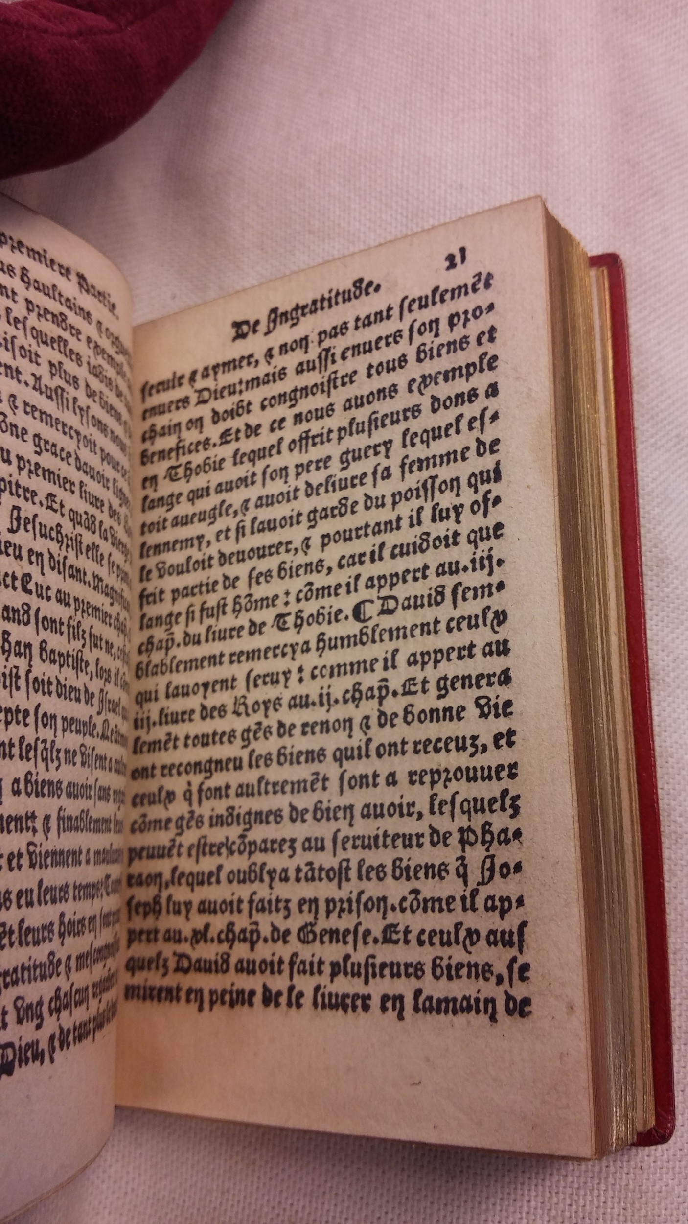 1542 - Denis de Harsy - Trésor de sapience et fleur de toute bonté - BIS