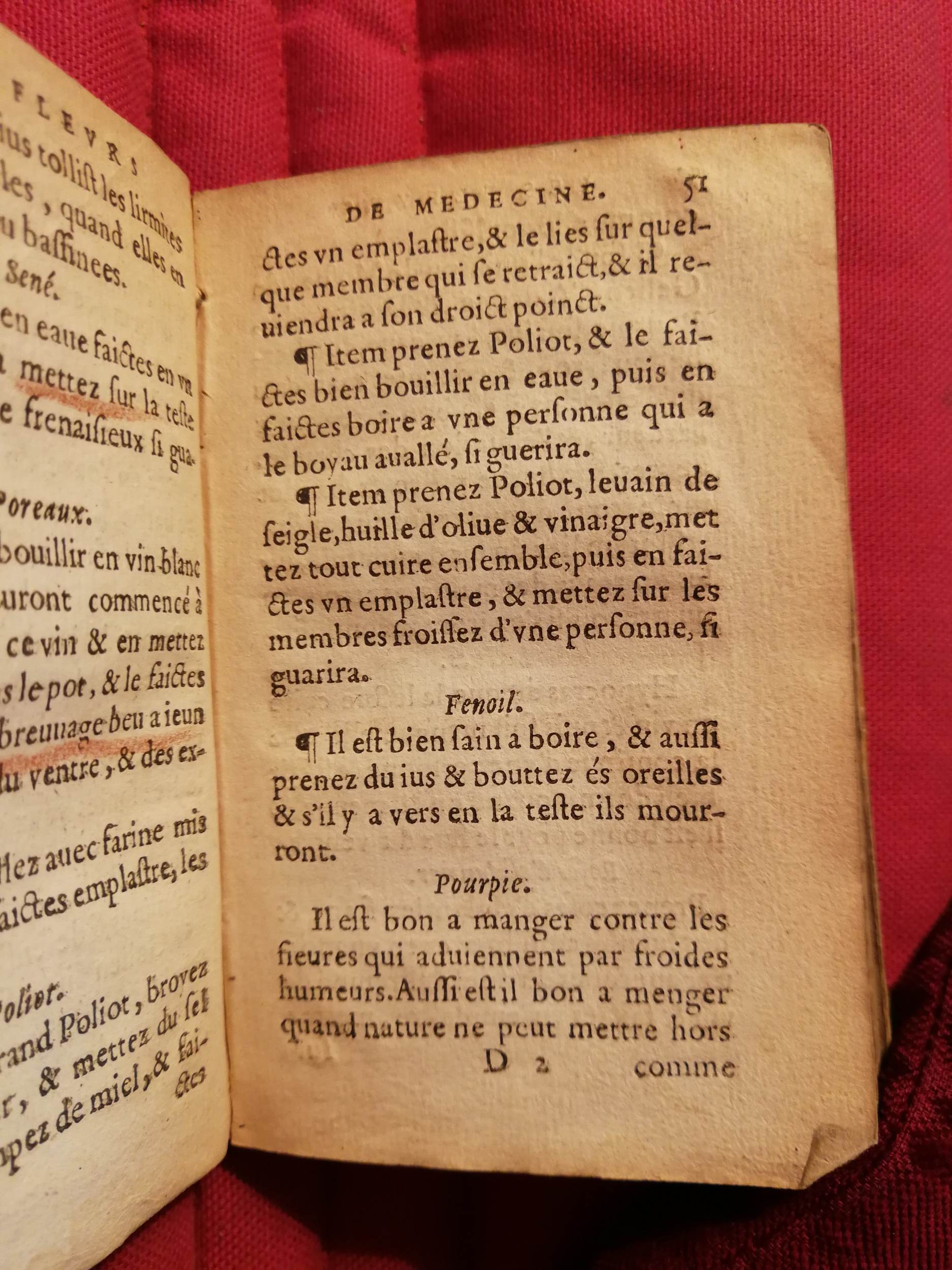 1586 - Benoît Rigaud - Trésor des fleurs et secrets de médecine - Sainte-Geneviève