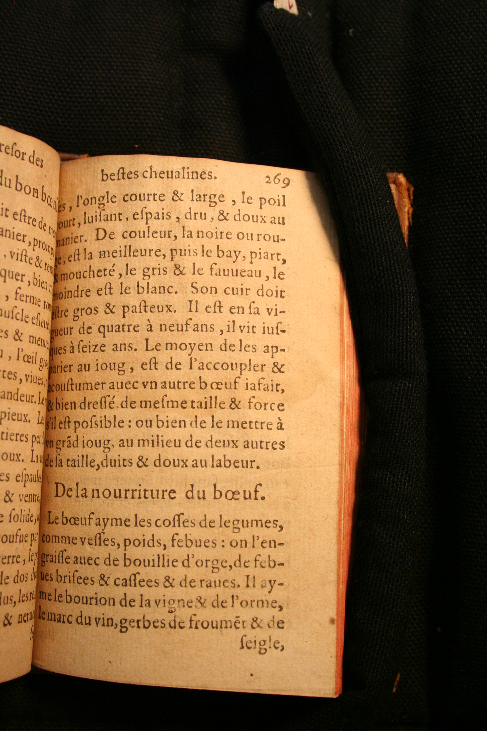 1591 - Pierre Chastaing et Benoît Rigaud - Trésor des bêtes chevalines - BM Bordeaux