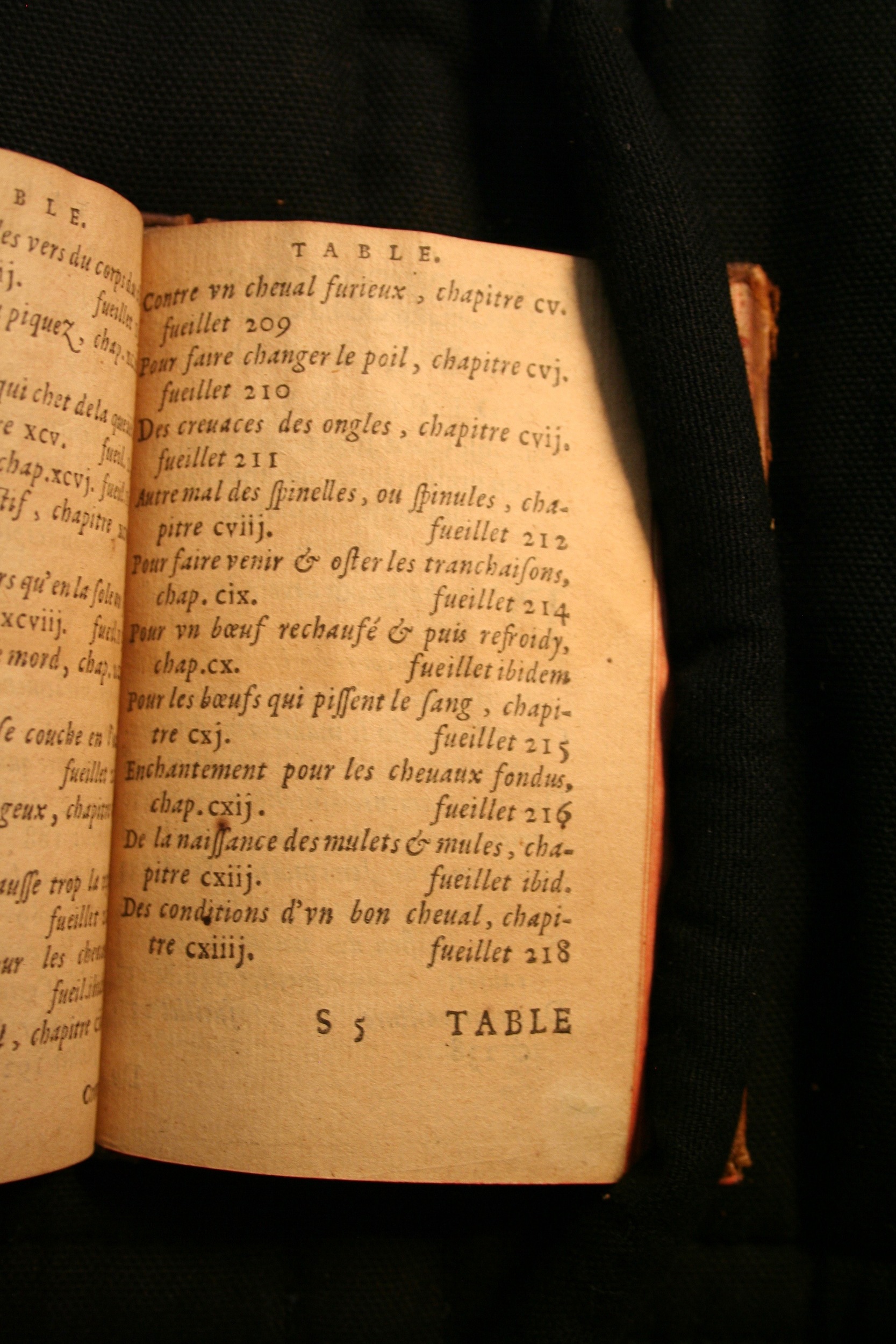 1591 - Pierre Chastaing et Benoît Rigaud - Trésor des bêtes chevalines - BM Bordeaux