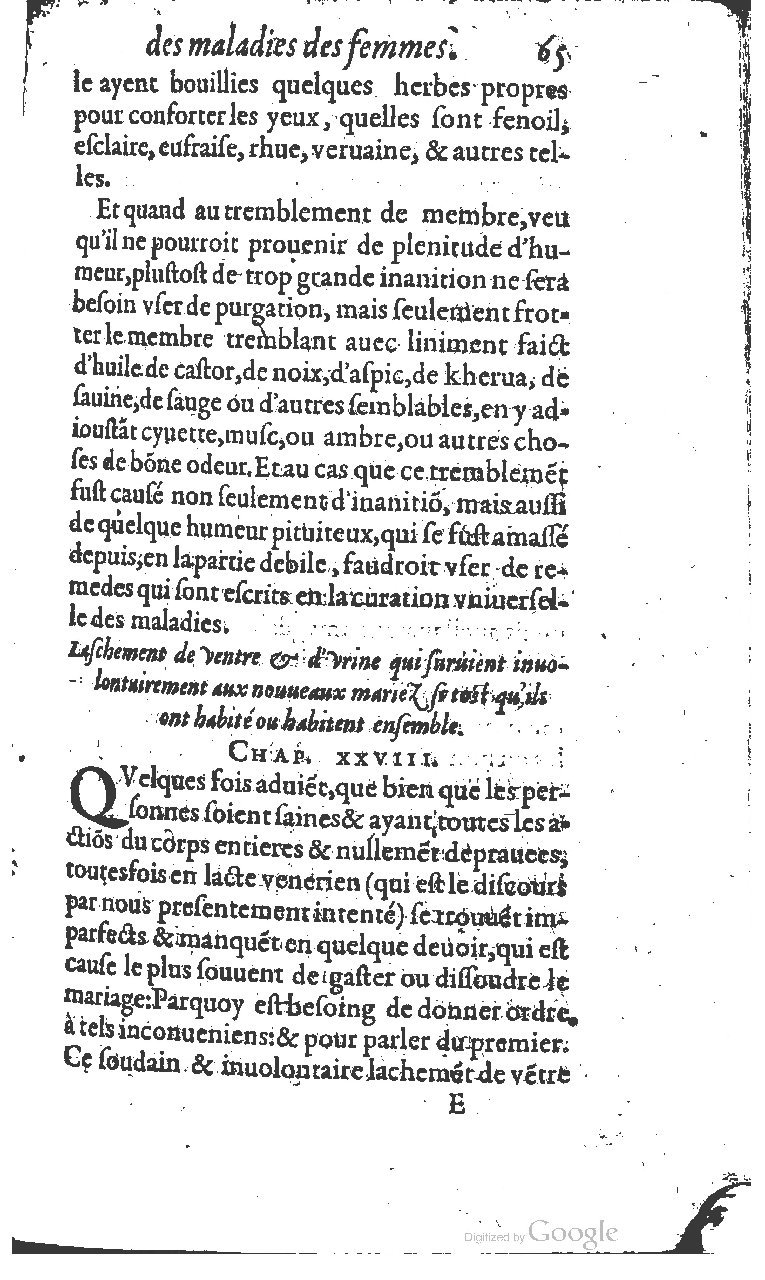 1617 - Jean Le Bouc - Trésor des remèdes secrets - BM Lyon