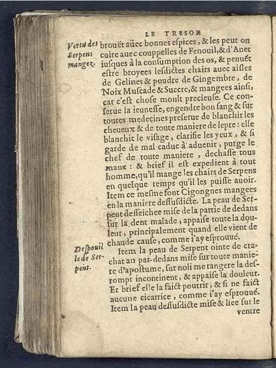 1590 - Benoît Rigaud - Trésor des pauvres - Mucem