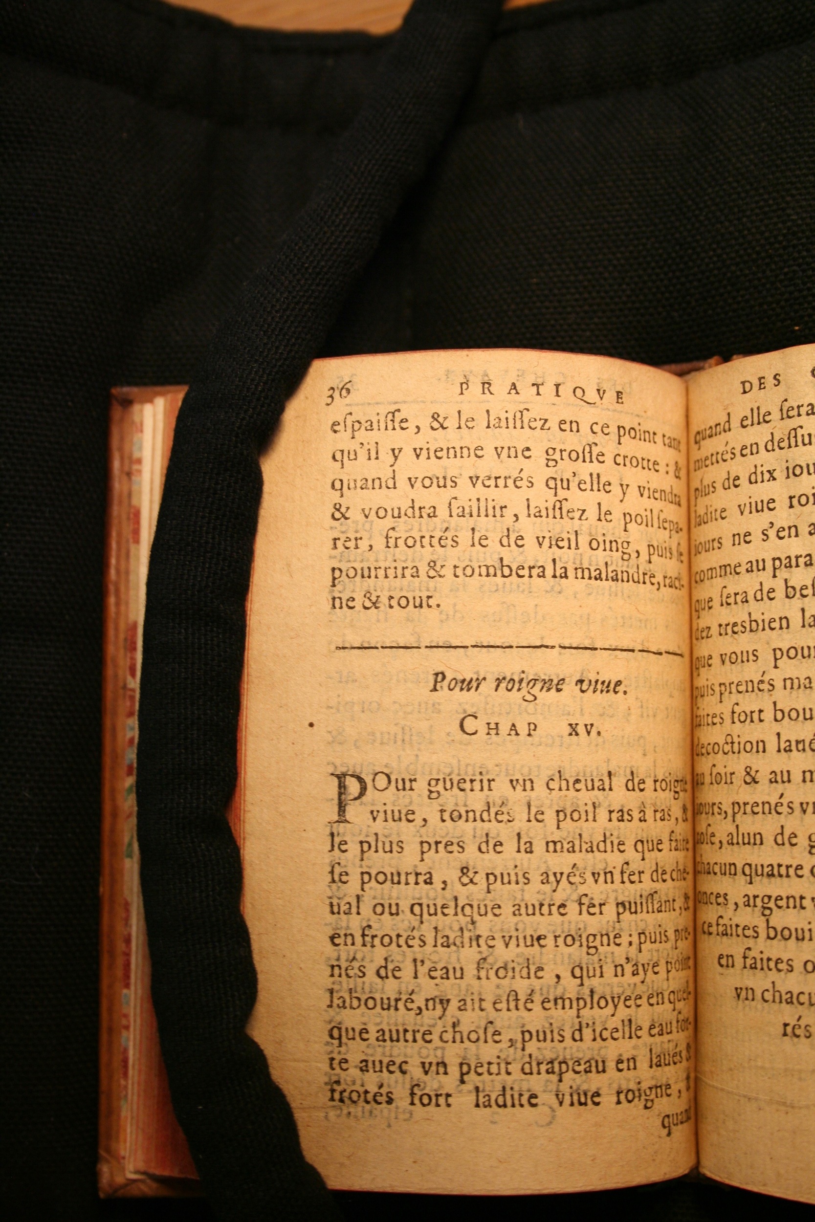 1591 - Pierre Chastaing et Benoît Rigaud - Trésor des bêtes chevalines - BM Bordeaux