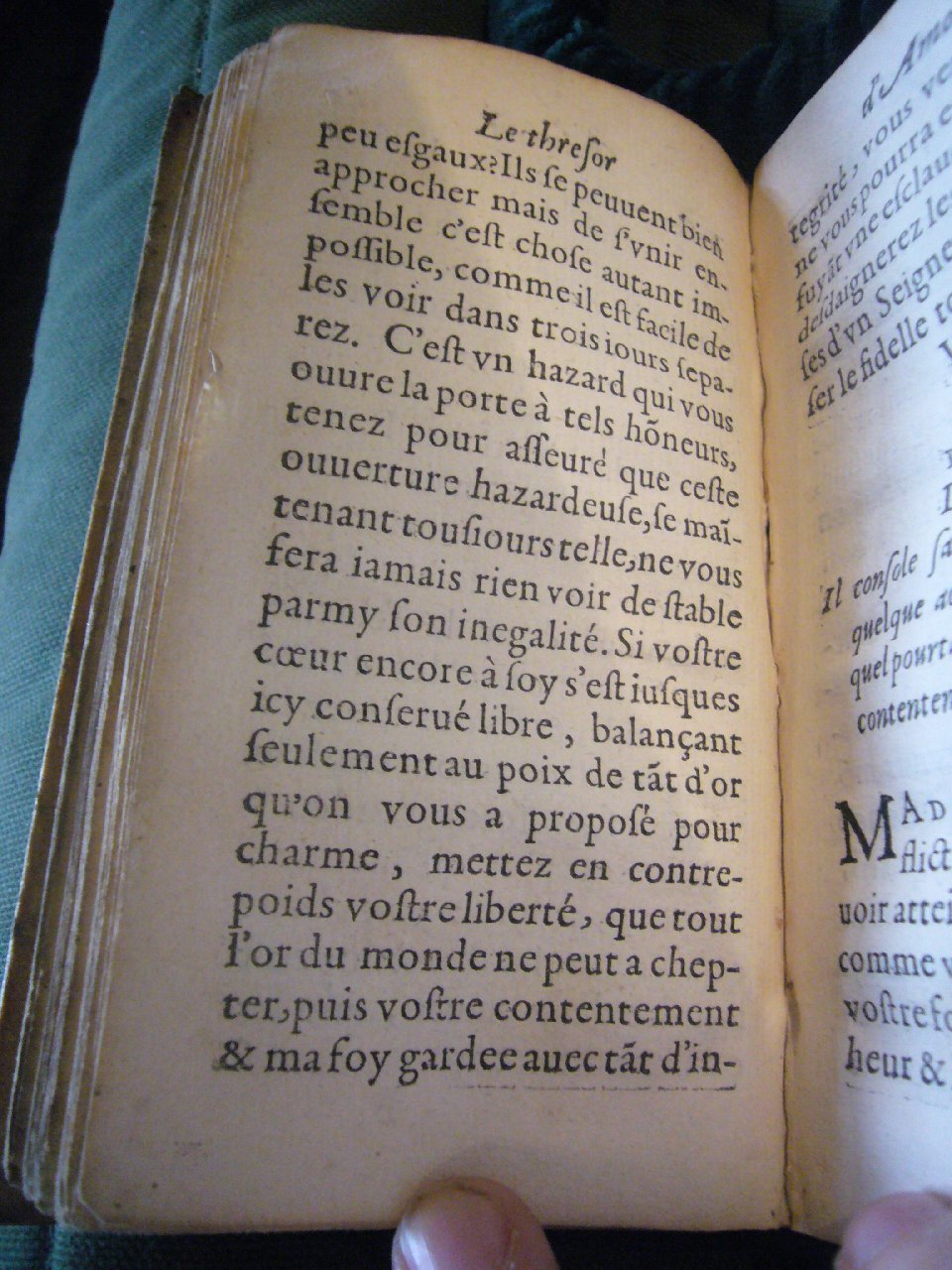 1597 - Matthieu Guillemot - Trésor d’amour - BnF Arsenal
