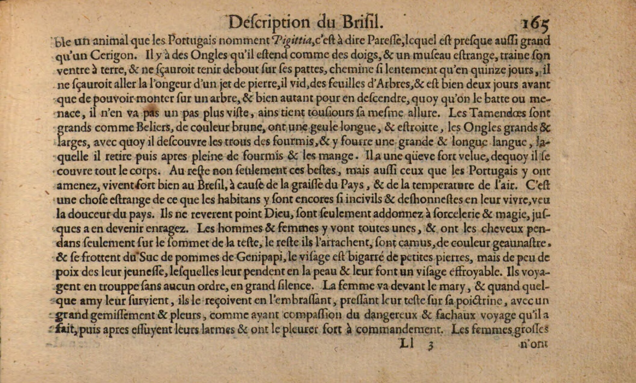 1602 - Christoffle Guyot et Corneille Nicolas - Trésor des chartes - BSB Munich
