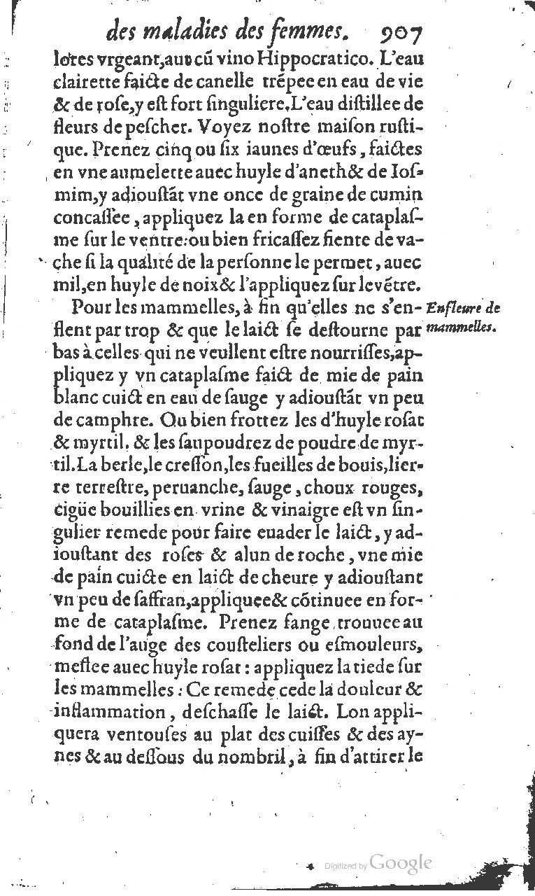1617 - Jean Le Bouc - Trésor des remèdes secrets - BM Lyon