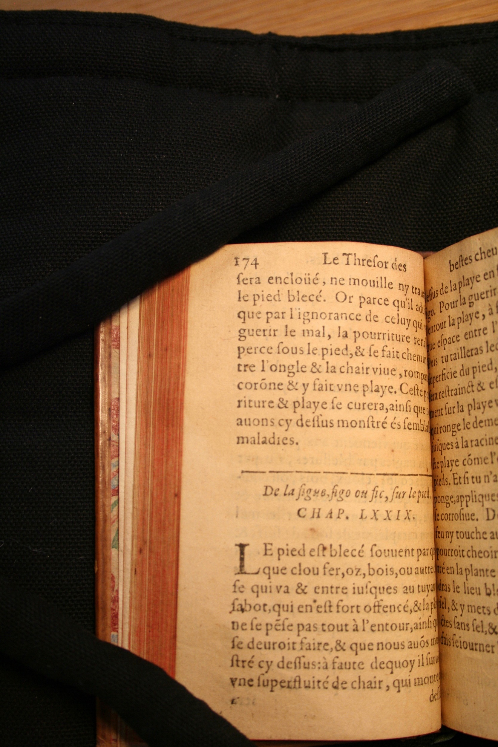 1591 - Pierre Chastaing et Benoît Rigaud - Trésor des bêtes chevalines - BM Bordeaux
