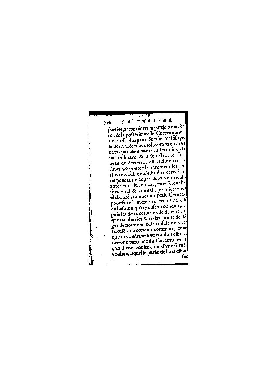 1578 - Benoît Rigaud - Trésor de médecine tant théorique que pratique - BnF