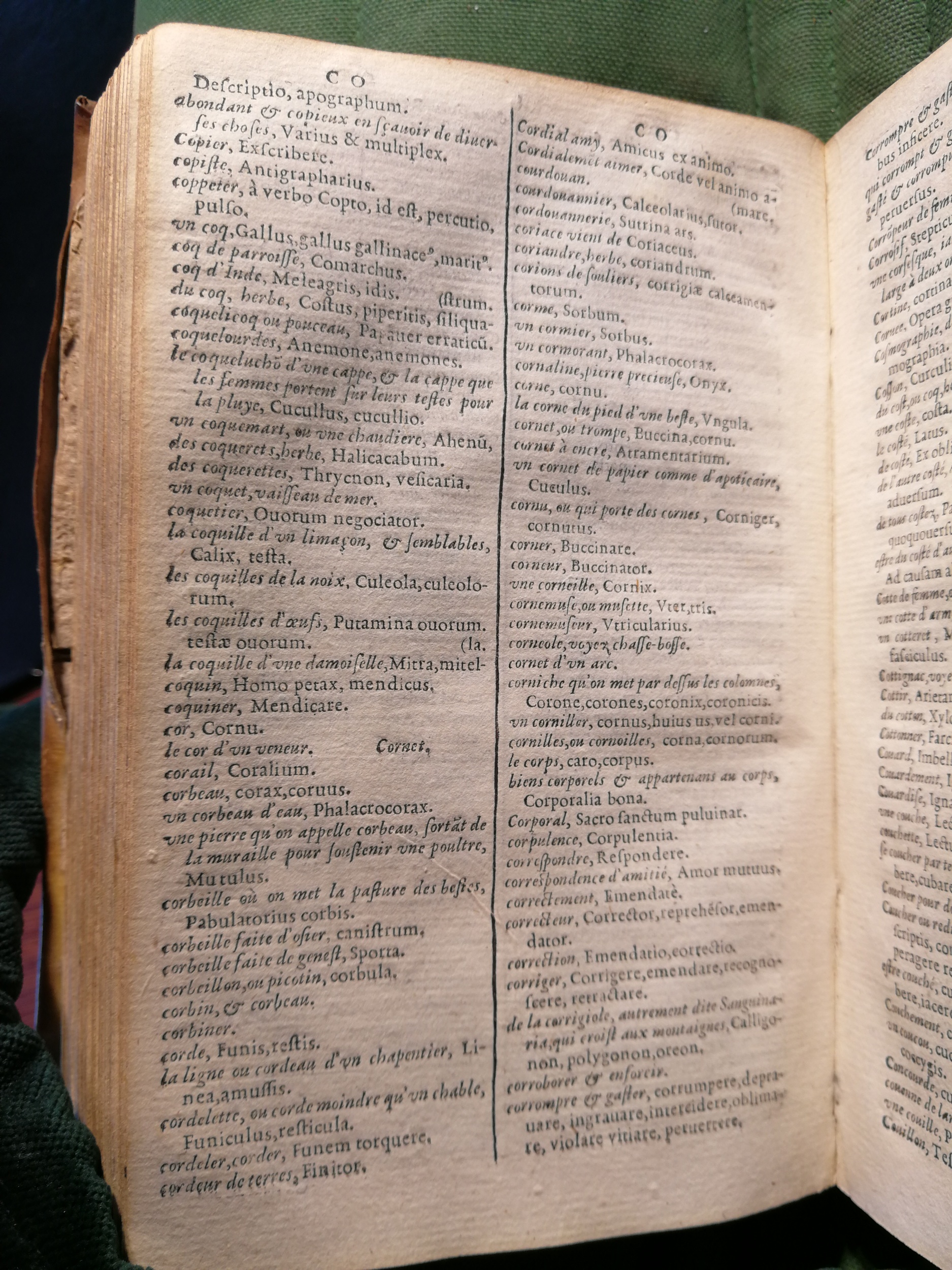 1597 - Martin le Mégissier - Trésor des mots et traits français - BnF