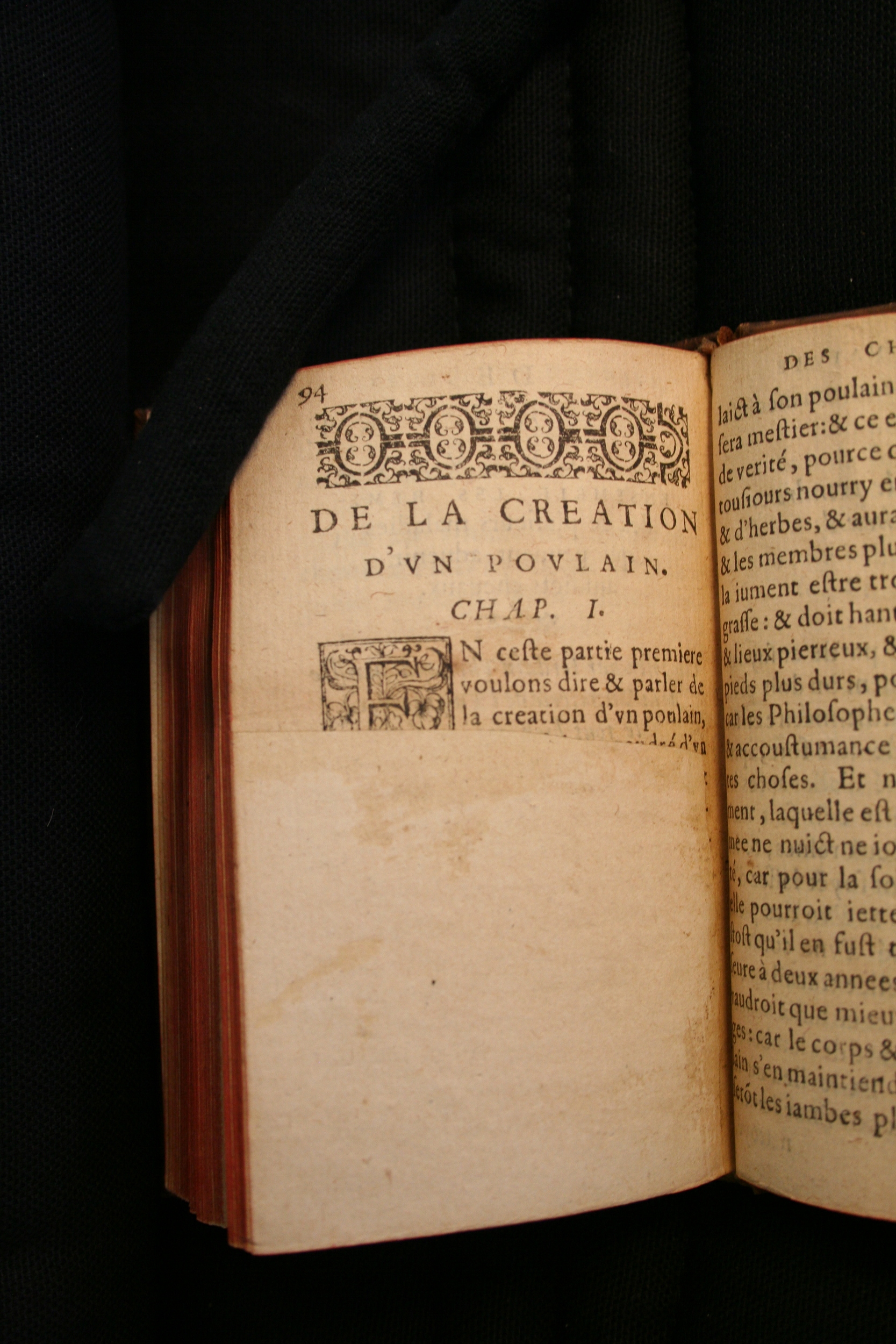 1591 - Pierre Chastaing et Benoît Rigaud - Trésor des bêtes chevalines - BM Bordeaux