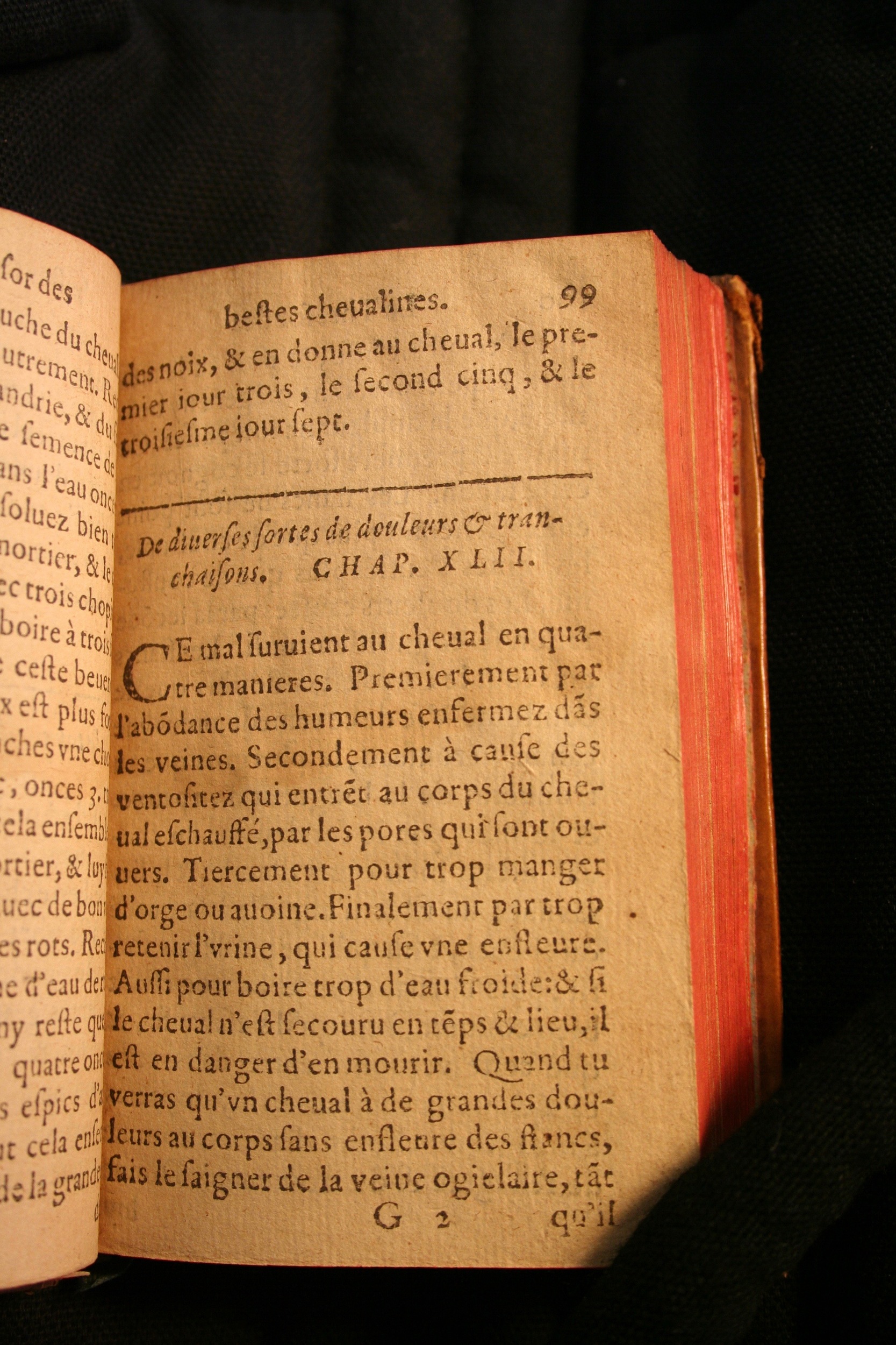 1591 - Pierre Chastaing et Benoît Rigaud - Trésor des bêtes chevalines - BM Bordeaux