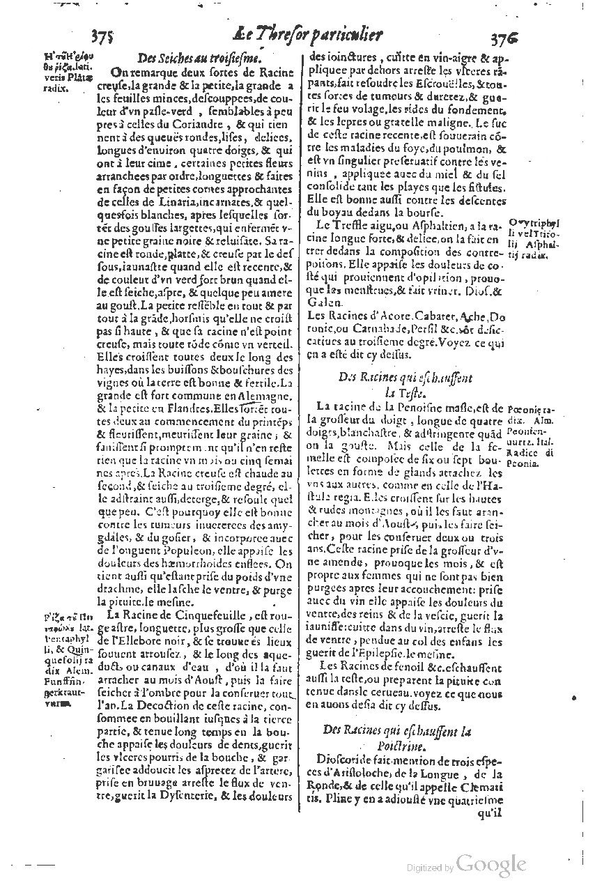 1616 - Étienne Gamonet - Grand trésor ou dispensaire - BSB Munich