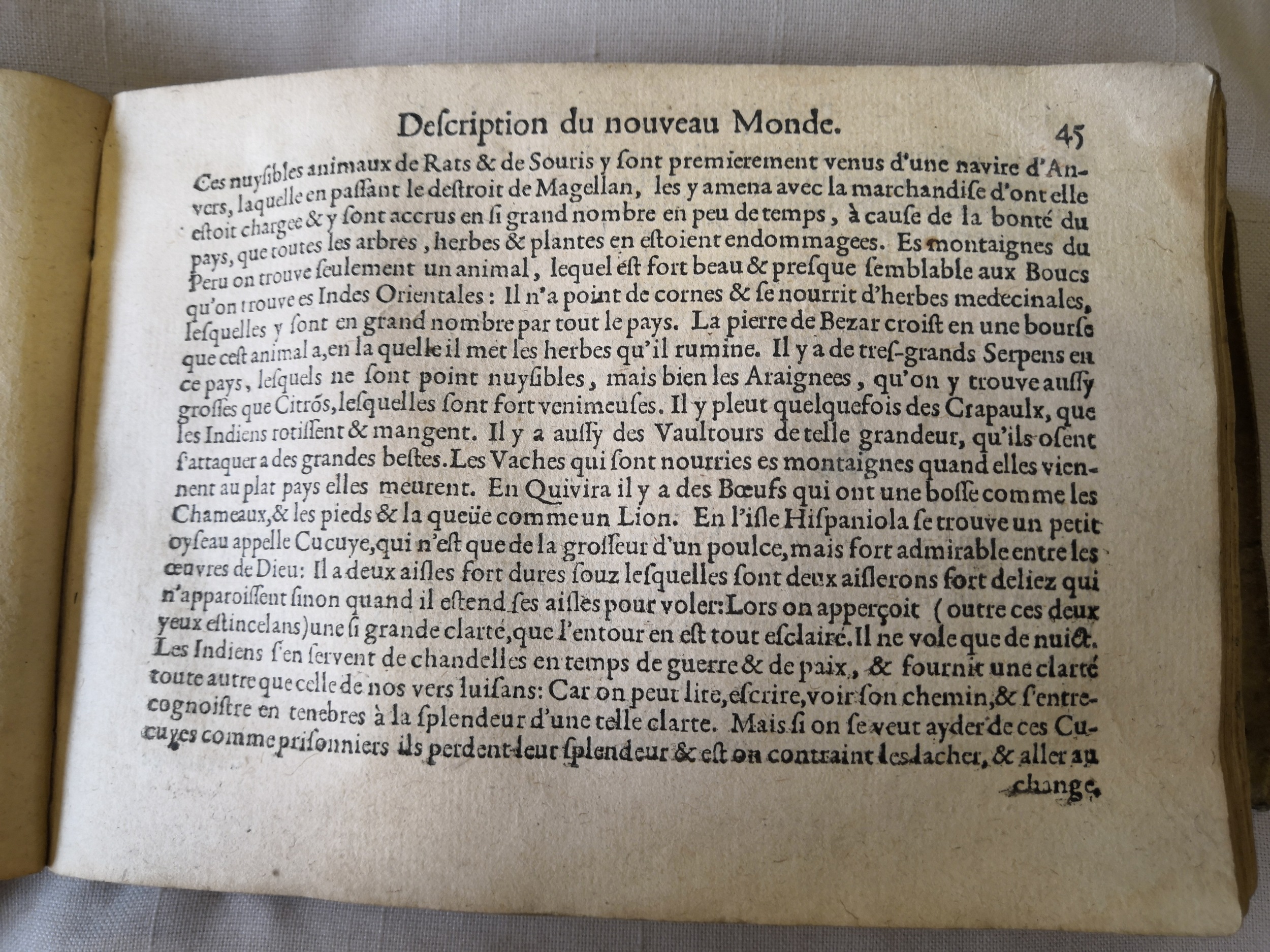 1602 - [Christofle Guyot  et Corneille Nicolas] - Trésor des chartes - KBR Bruxelles