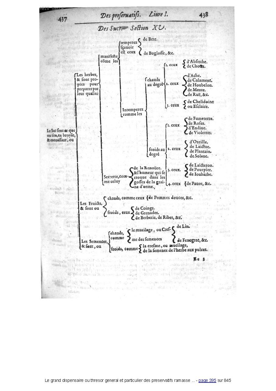 1609 - Étienne Gamonet - Grand dispensaire ou Trésor général et particulier des préservatifs - BIU Santé 1609 - Étienne Gamonet - Grand dispensaire ou Trésor général et particulier des préservatifs - BIU Santé