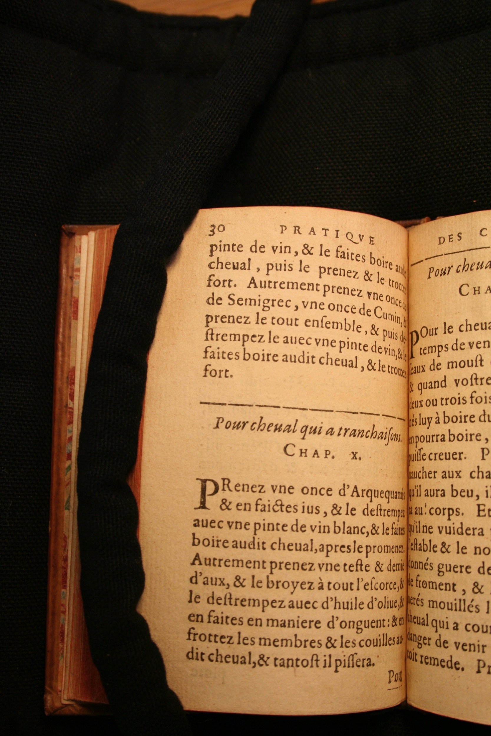1591 - Pierre Chastaing et Benoît Rigaud - Trésor des bêtes chevalines - BM Bordeaux