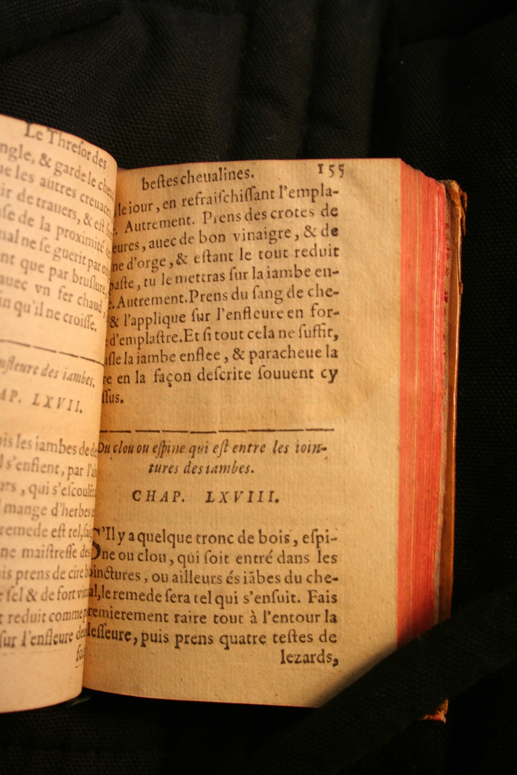 1591 - Pierre Chastaing et Benoît Rigaud - Trésor des bêtes chevalines - BM Bordeaux
