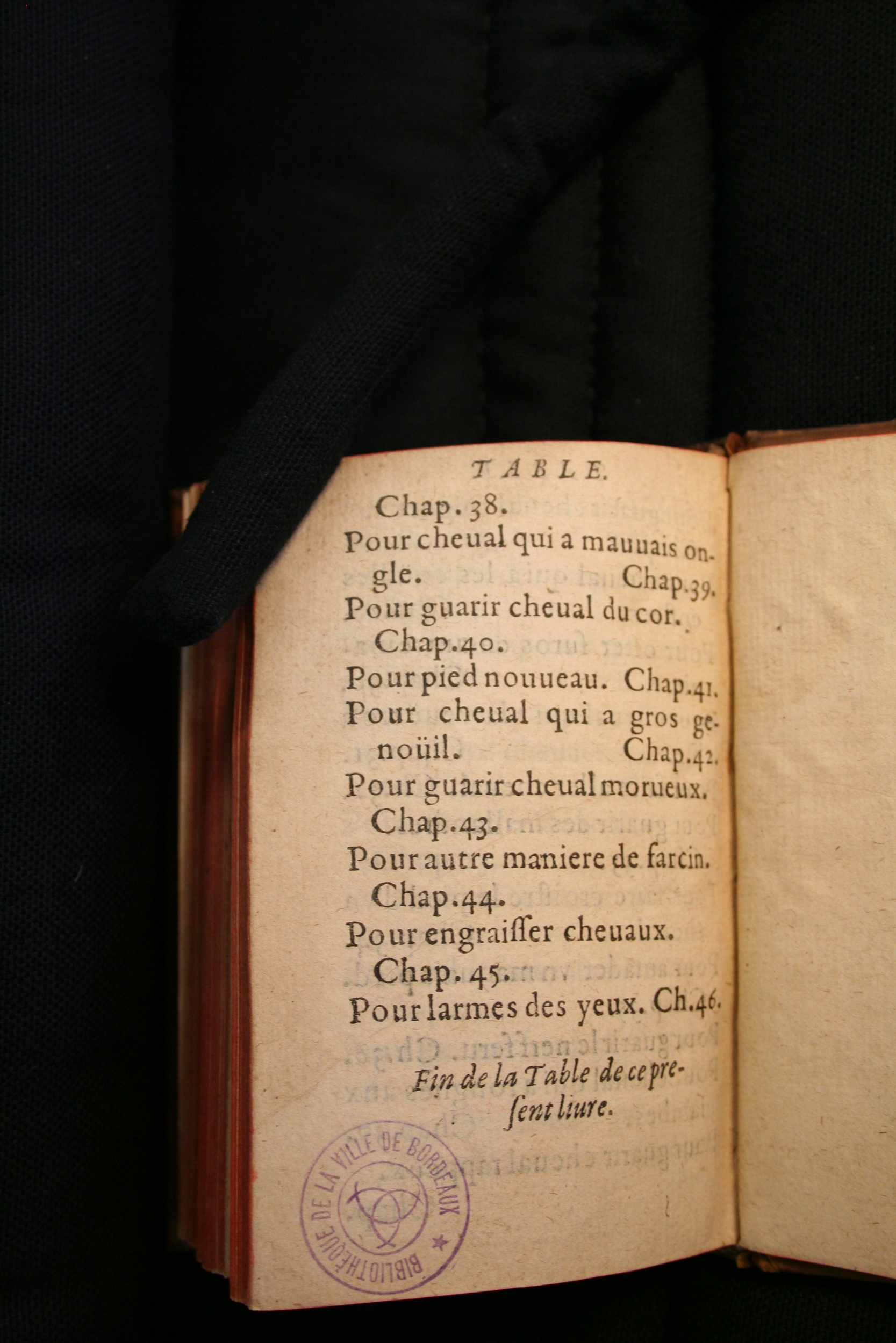 1591 - Pierre Chastaing et Benoît Rigaud - Trésor des bêtes chevalines - BM Bordeaux