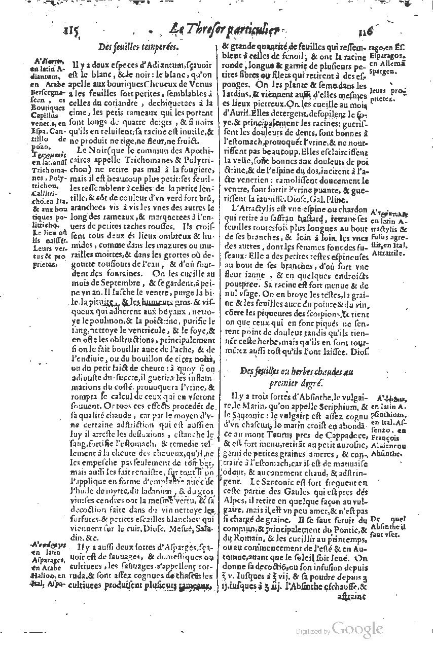 1616 - Étienne Gamonet - Grand trésor ou dispensaire - BSB Munich
