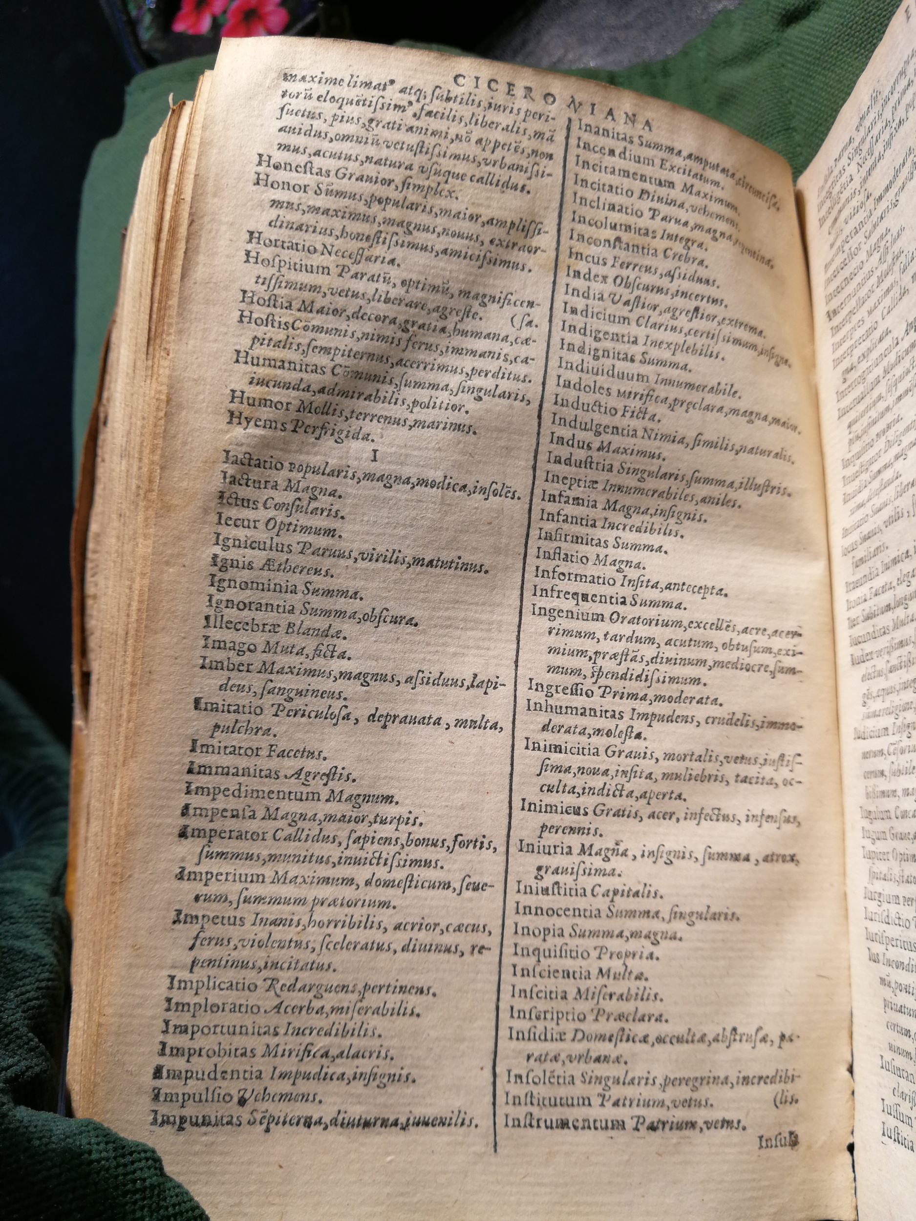 1597 - Martin le Mégissier - Trésor des mots et traits français - BnF