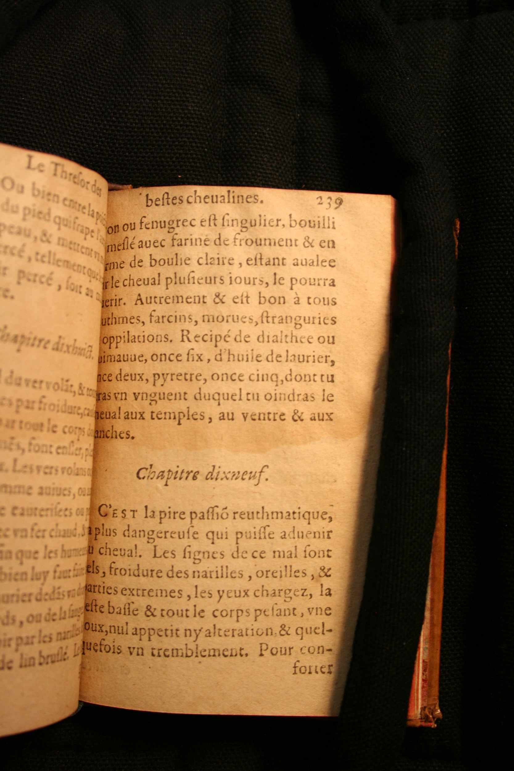 1591 - Pierre Chastaing et Benoît Rigaud - Trésor des bêtes chevalines - BM Bordeaux
