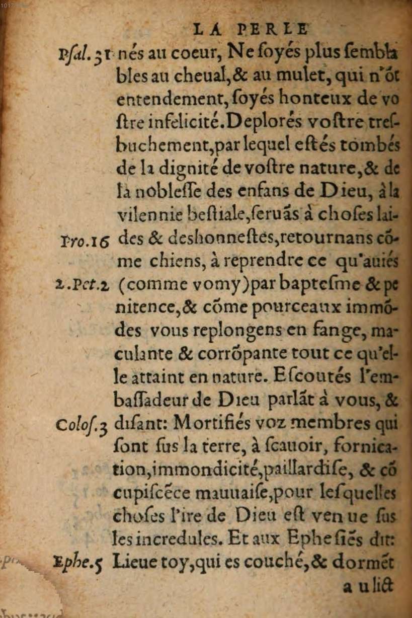 1548 - René Avril et Vivant Gaulterot - Perle précieuse évangélique et Trésor divin - BSB Munich 1548 - René Avril et Vivant Gaulterot - Perle précieuse évangélique et Trésor divin - BSB Munich