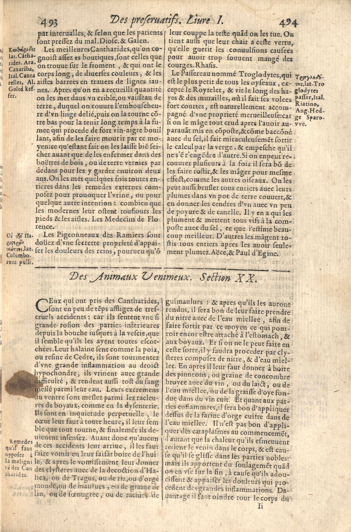 1610 - Étienne Gamonet - Grand Trésor ou dispensaire - CESR Tours