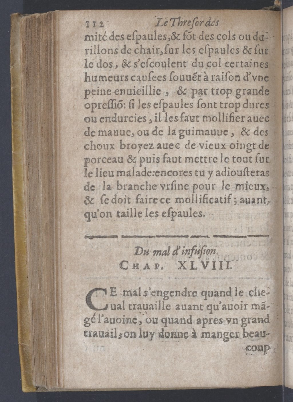 1619 - Pierre Rigaud - Trésor des bêtes chevalines - BnF 1619 - Pierre Rigaud - Trésor des bêtes chevalines - BnF