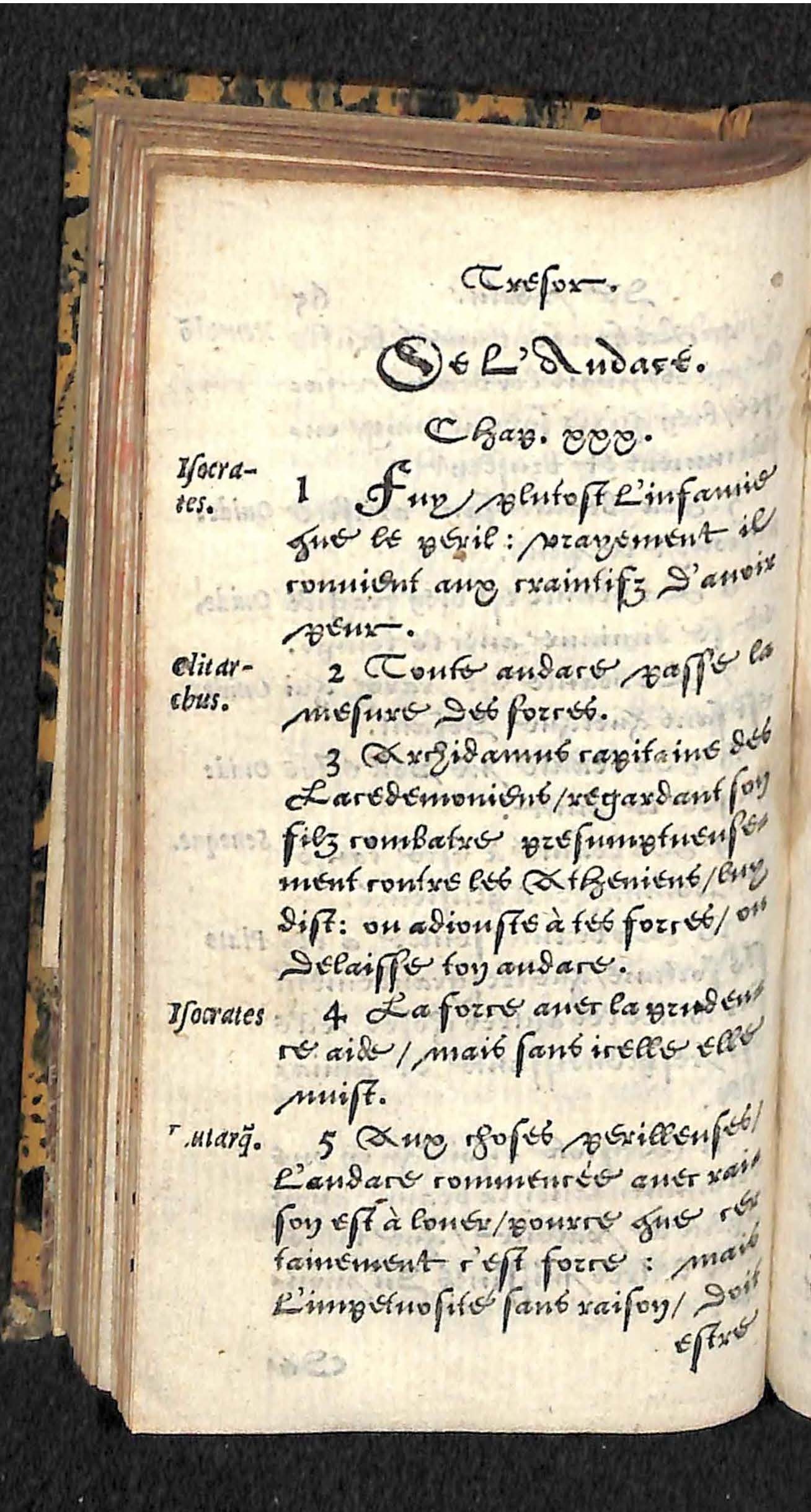 1560 - Hans de Laet - Trésor de vertu - Angers-archives