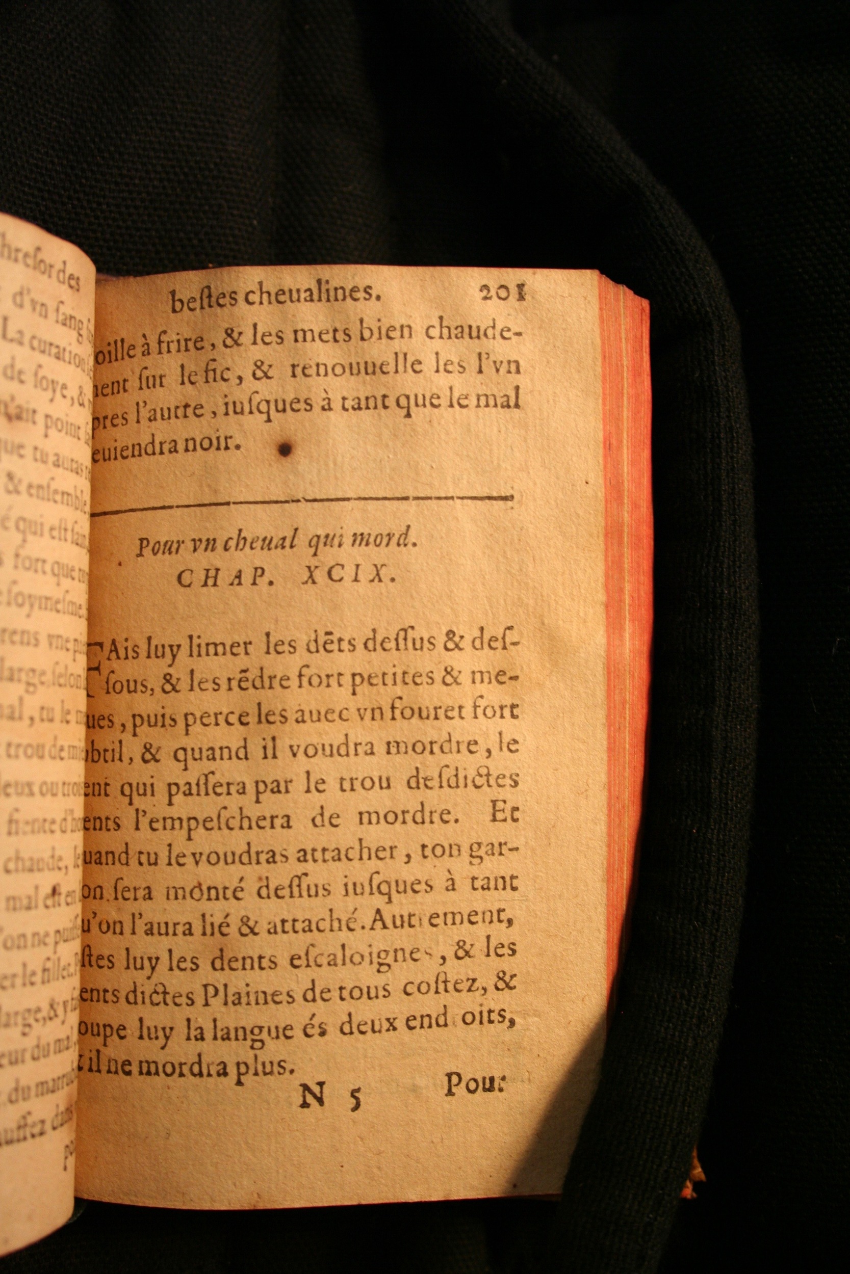 1591 - Pierre Chastaing et Benoît Rigaud - Trésor des bêtes chevalines - BM Bordeaux