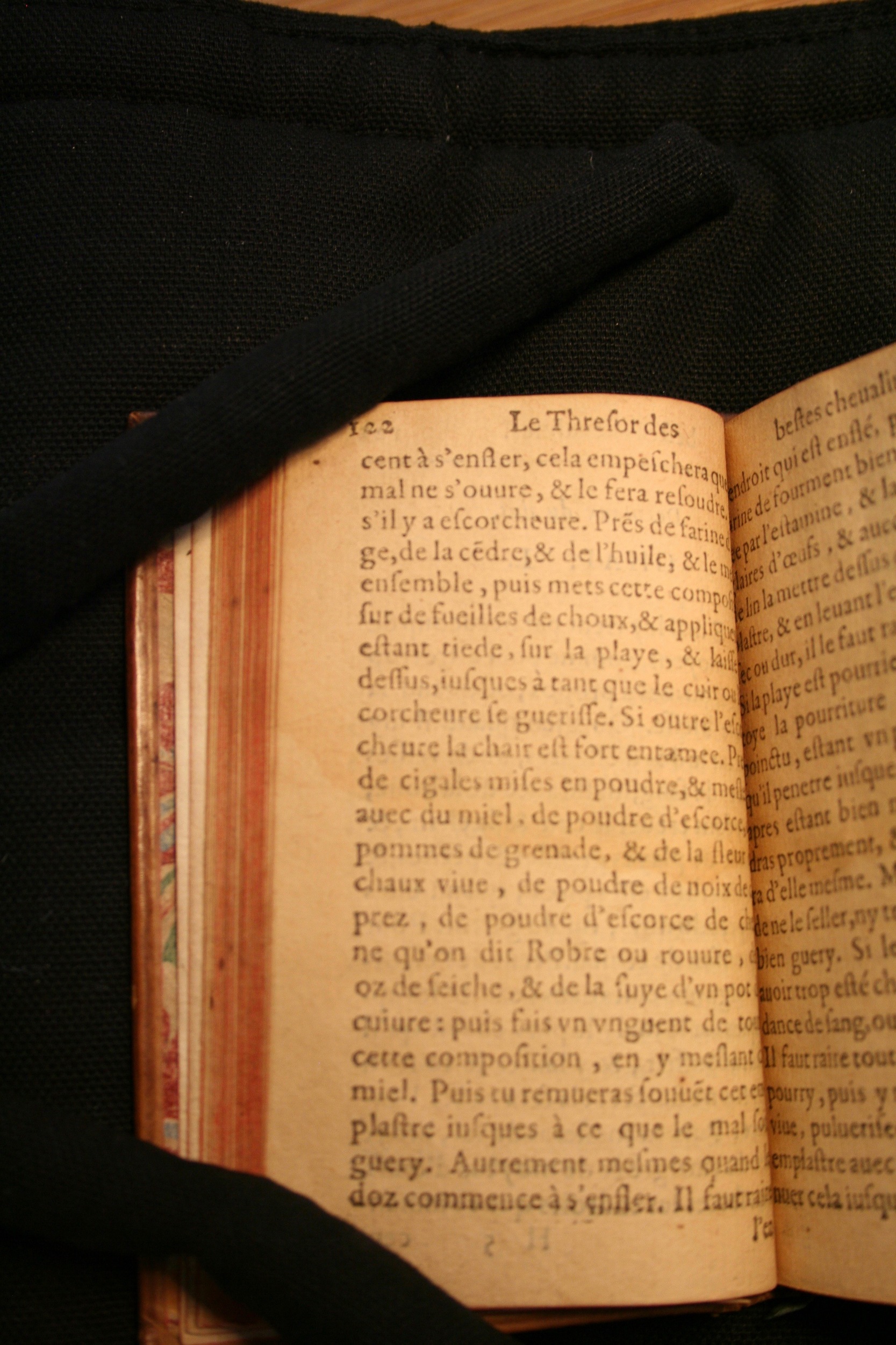 1591 - Pierre Chastaing et Benoît Rigaud - Trésor des bêtes chevalines - BM Bordeaux