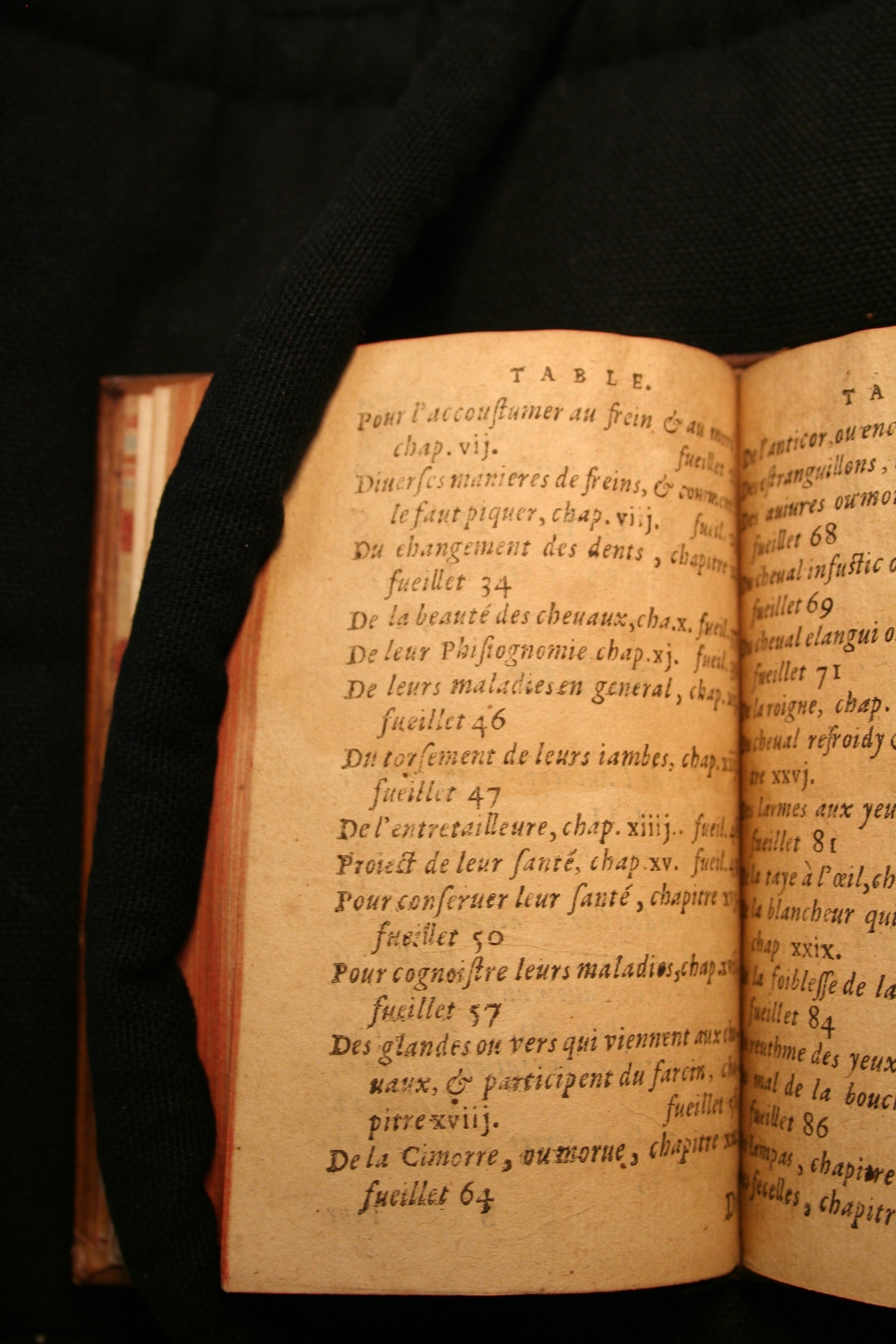 1591 - Pierre Chastaing et Benoît Rigaud - Trésor des bêtes chevalines - BM Bordeaux