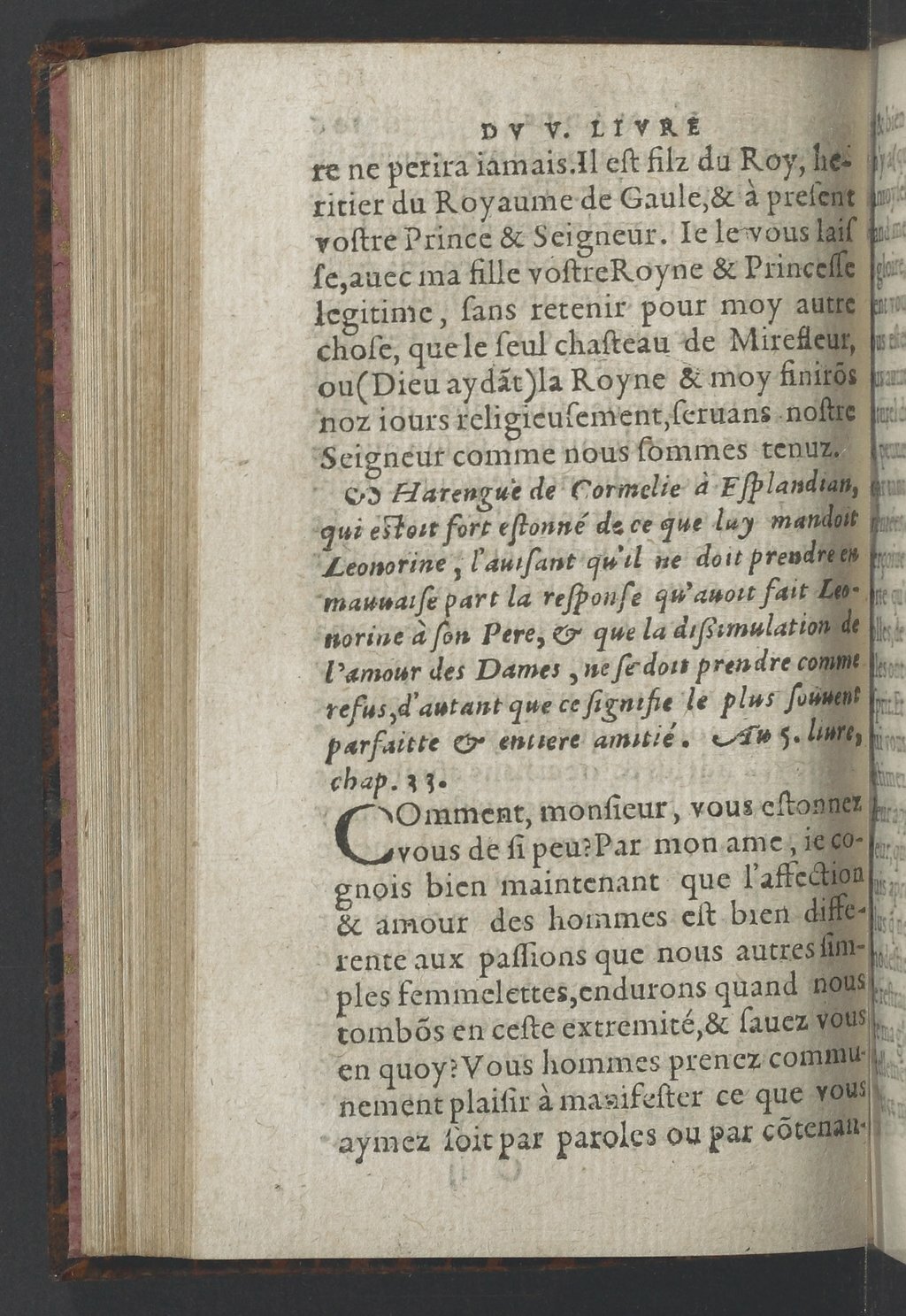 1564 - Vincent Norment et Jeanne Bruneau - Trésor des Amadis - BnF