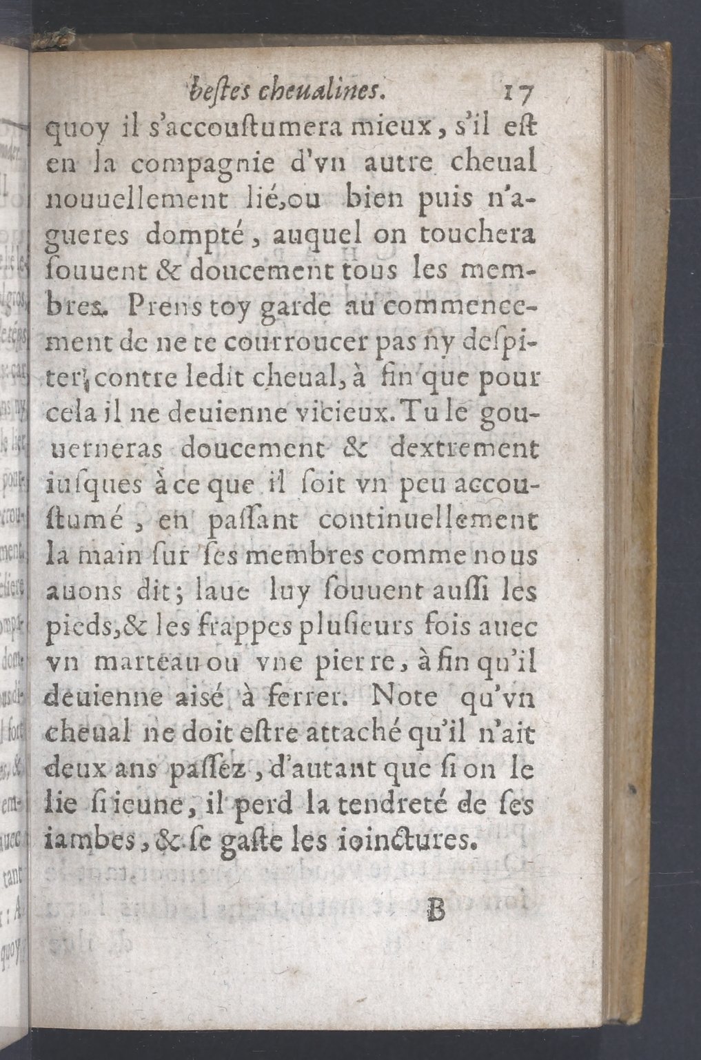 1619 - Pierre Rigaud - Trésor des bêtes chevalines - BnF 1619 - Pierre Rigaud - Trésor des bêtes chevalines - BnF