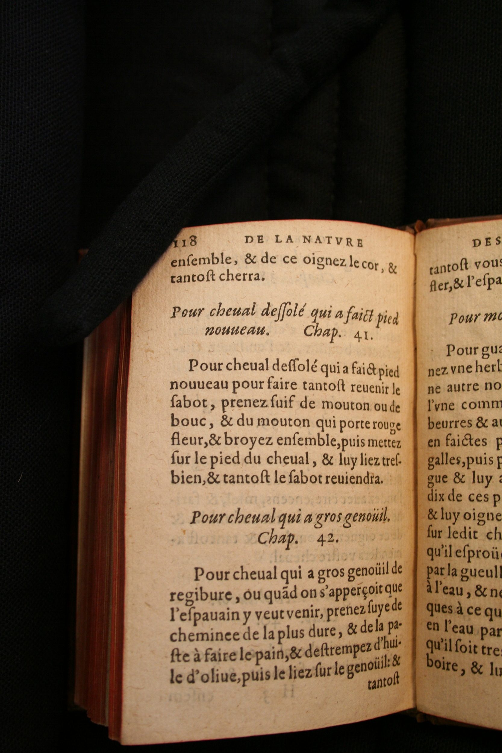 1591 - Pierre Chastaing et Benoît Rigaud - Trésor des bêtes chevalines - BM Bordeaux