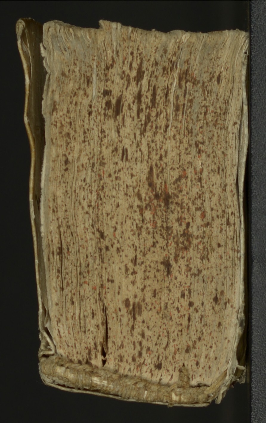 1607 - Pierre Brossart - Trésor des trésors - BnF