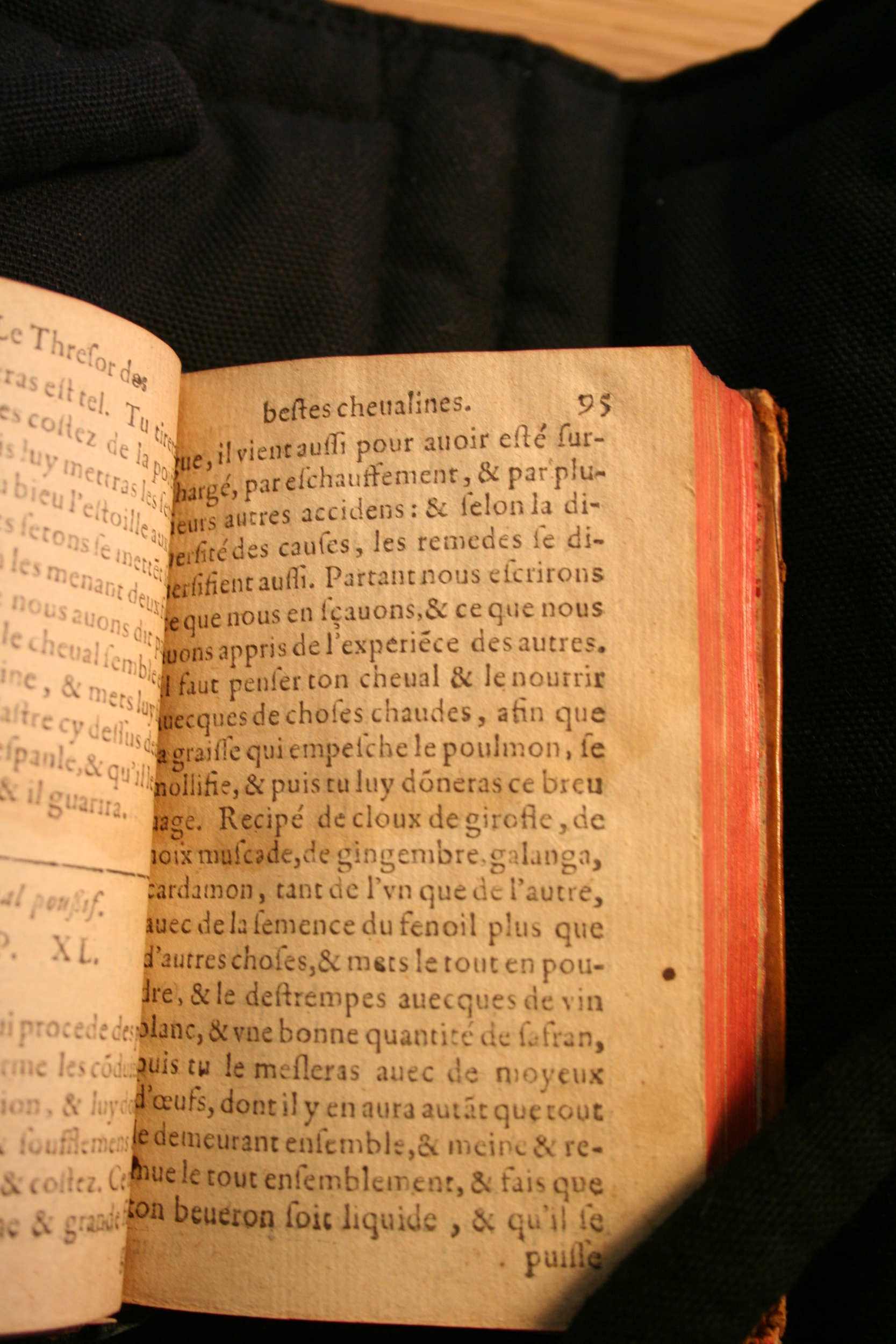 1591 - Pierre Chastaing et Benoît Rigaud - Trésor des bêtes chevalines - BM Bordeaux