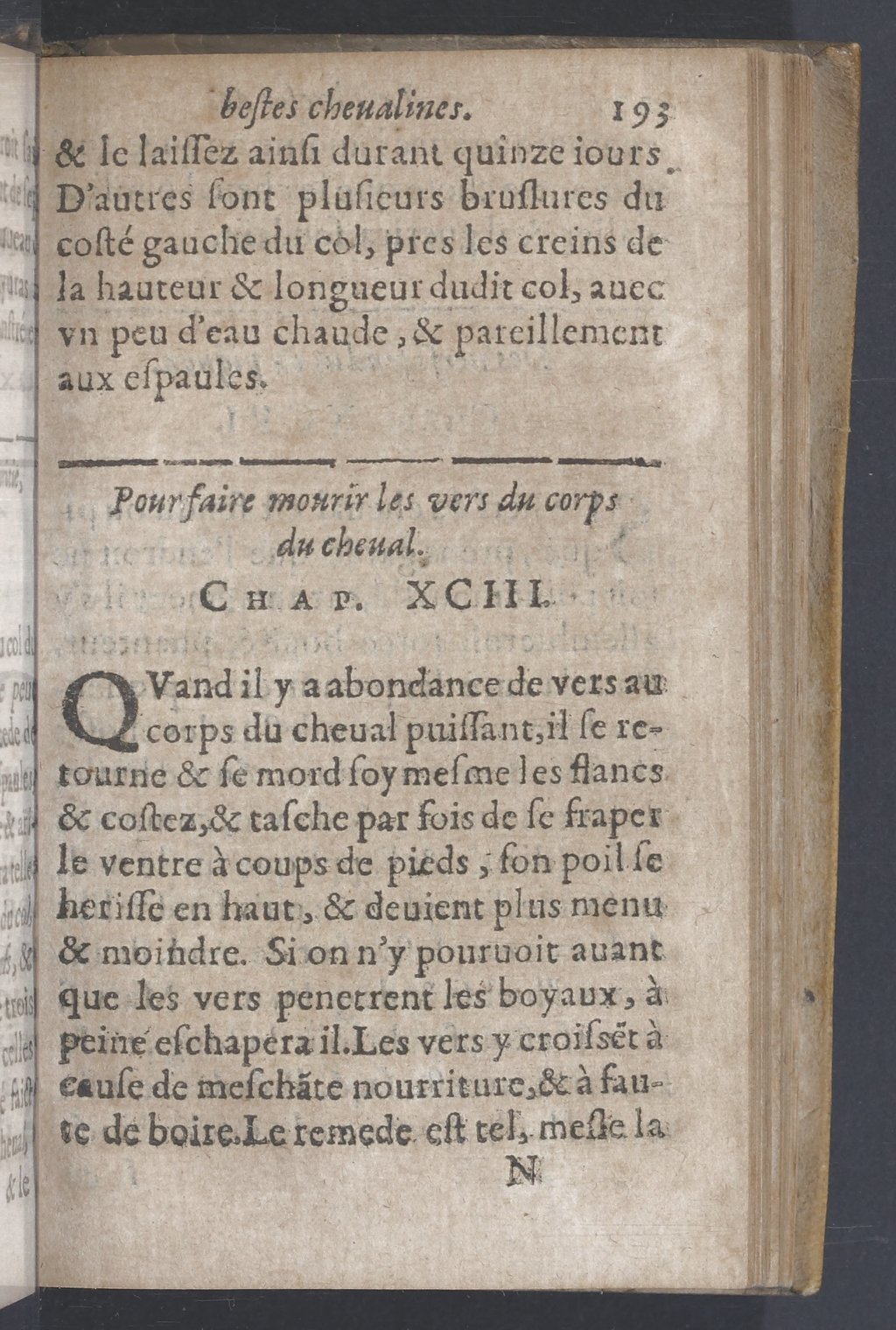 1619 - Pierre Rigaud - Trésor des bêtes chevalines - BnF