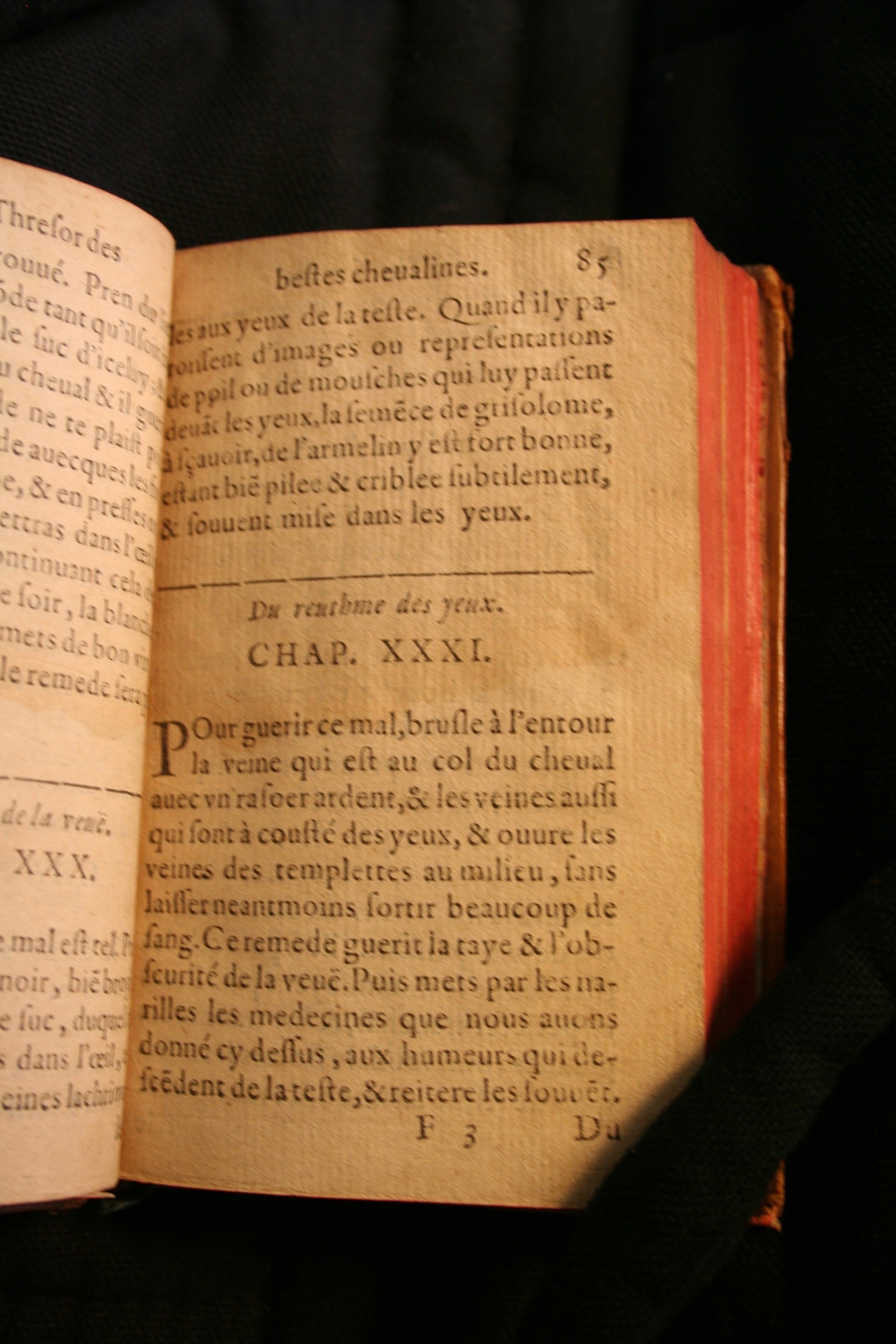 1591 - Pierre Chastaing et Benoît Rigaud - Trésor des bêtes chevalines - BM Bordeaux