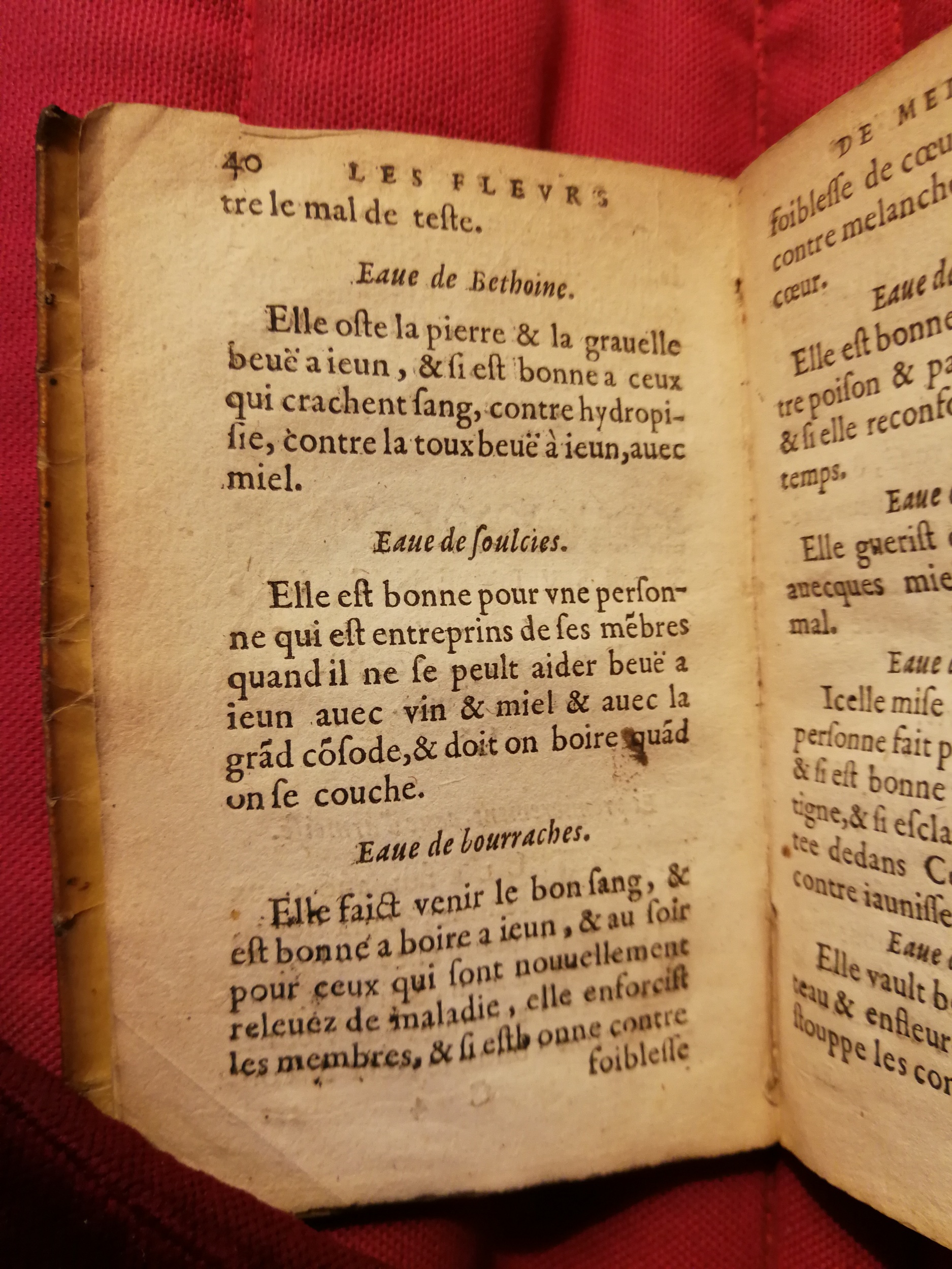 1586 - Benoît Rigaud - Trésor des fleurs et secrets de médecine - Sainte-Geneviève