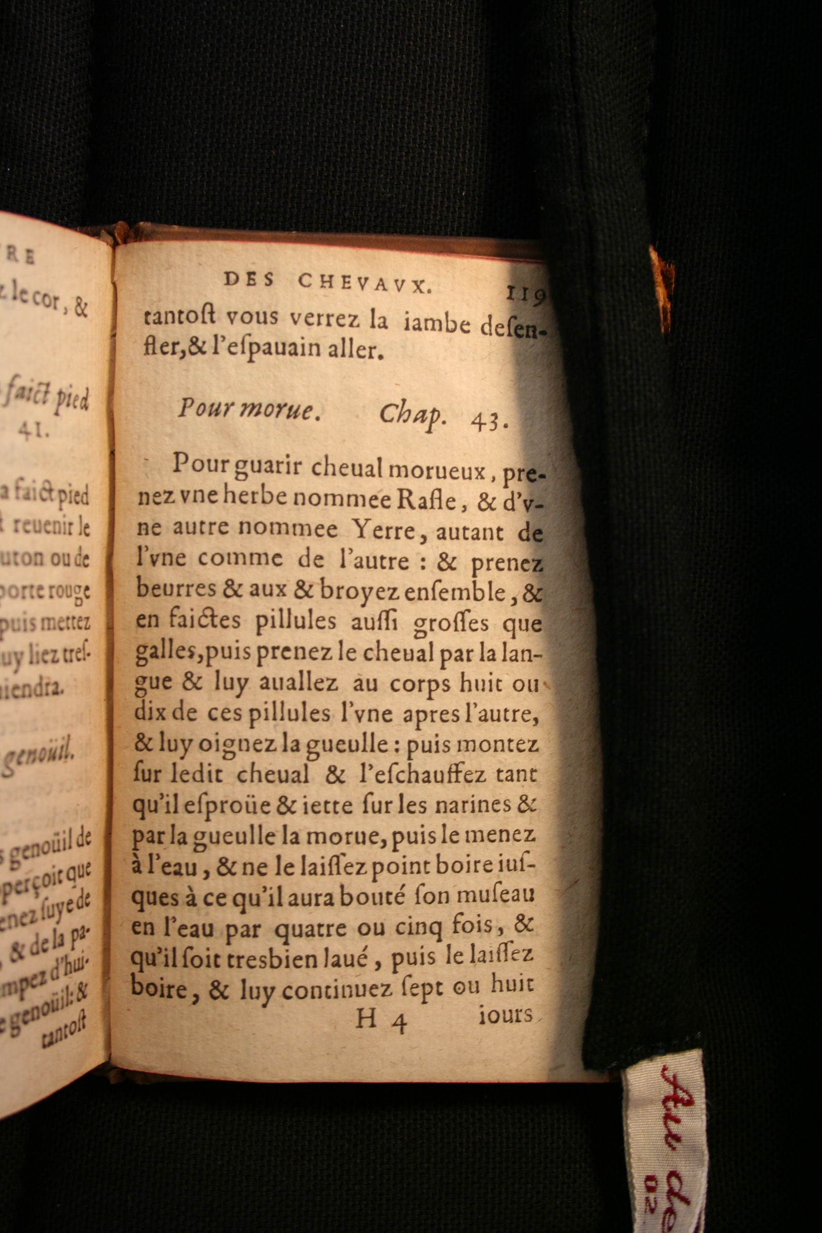 1591 - Pierre Chastaing et Benoît Rigaud - Trésor des bêtes chevalines - BM Bordeaux