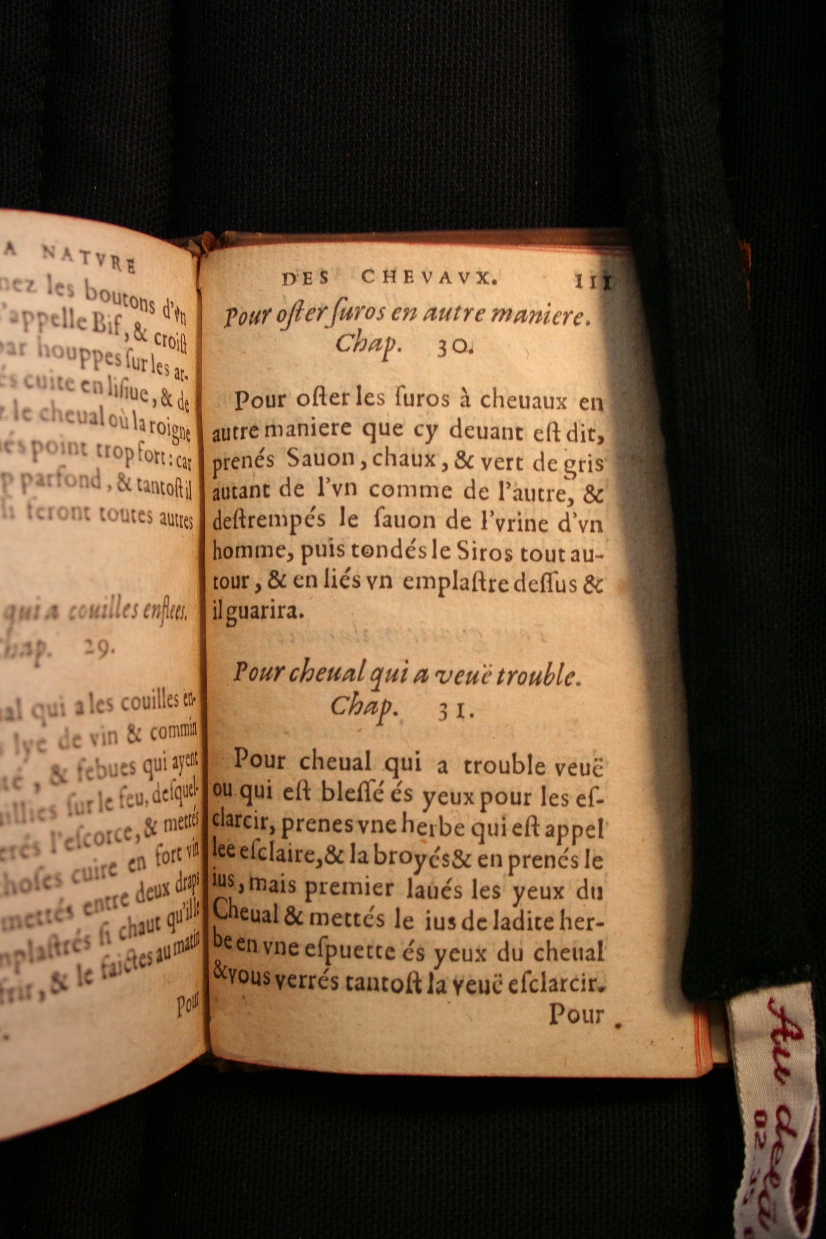 1591 - Pierre Chastaing et Benoît Rigaud - Trésor des bêtes chevalines - BM Bordeaux