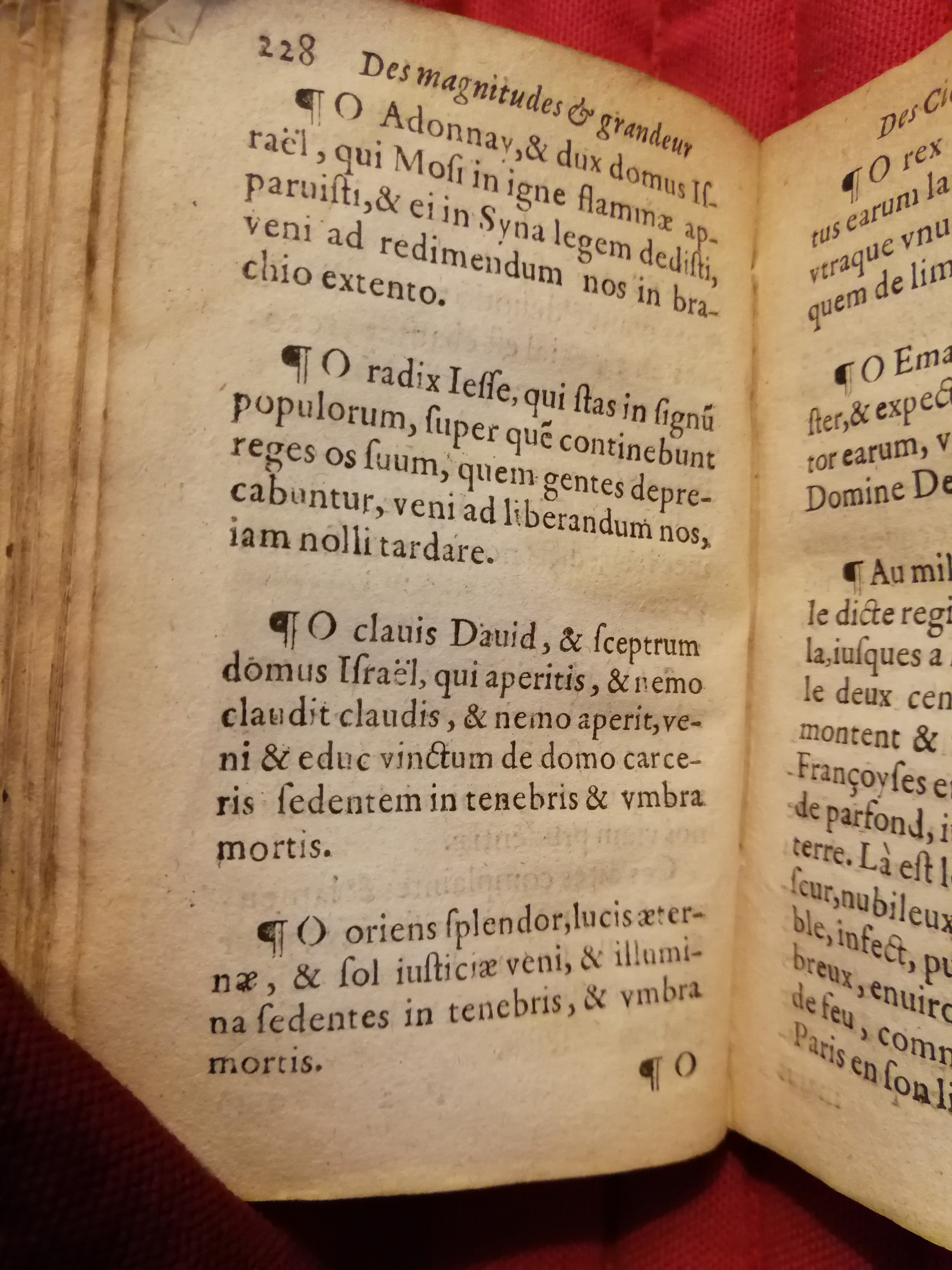 1586 - Benoît Rigaud - Trésor des fleurs et secrets de médecine - Sainte-Geneviève