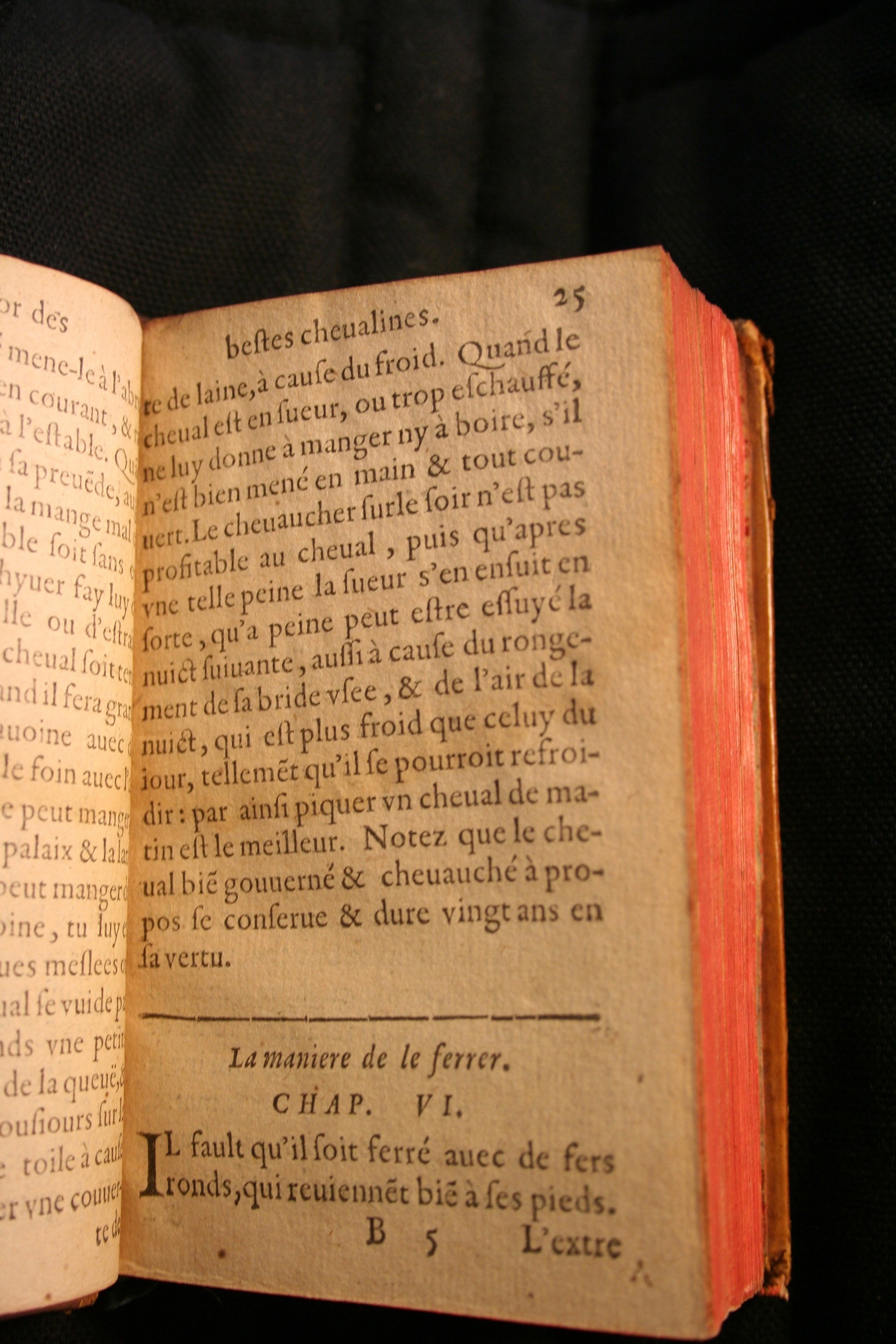 1591 - Pierre Chastaing et Benoît Rigaud - Trésor des bêtes chevalines - BM Bordeaux